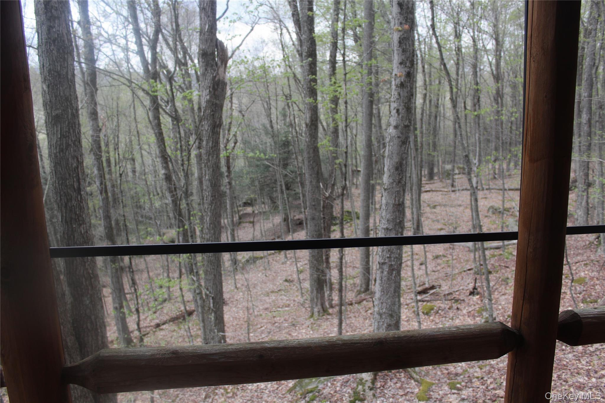 Single Family Peterson  Delaware County, NY 12776, MLS-1002384-7