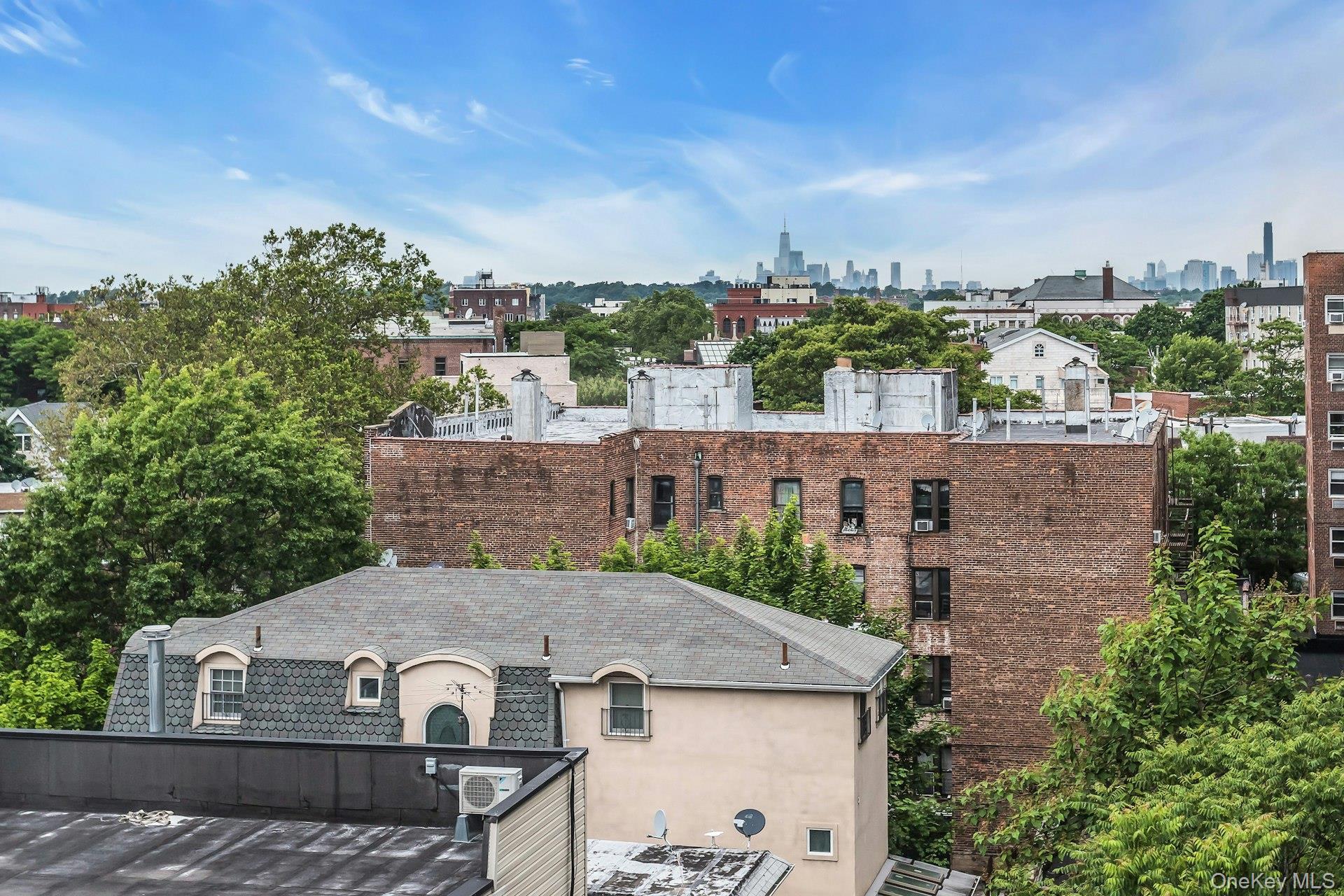 Coop Ocean  Brooklyn, NY 11230, MLS-1002530-9
