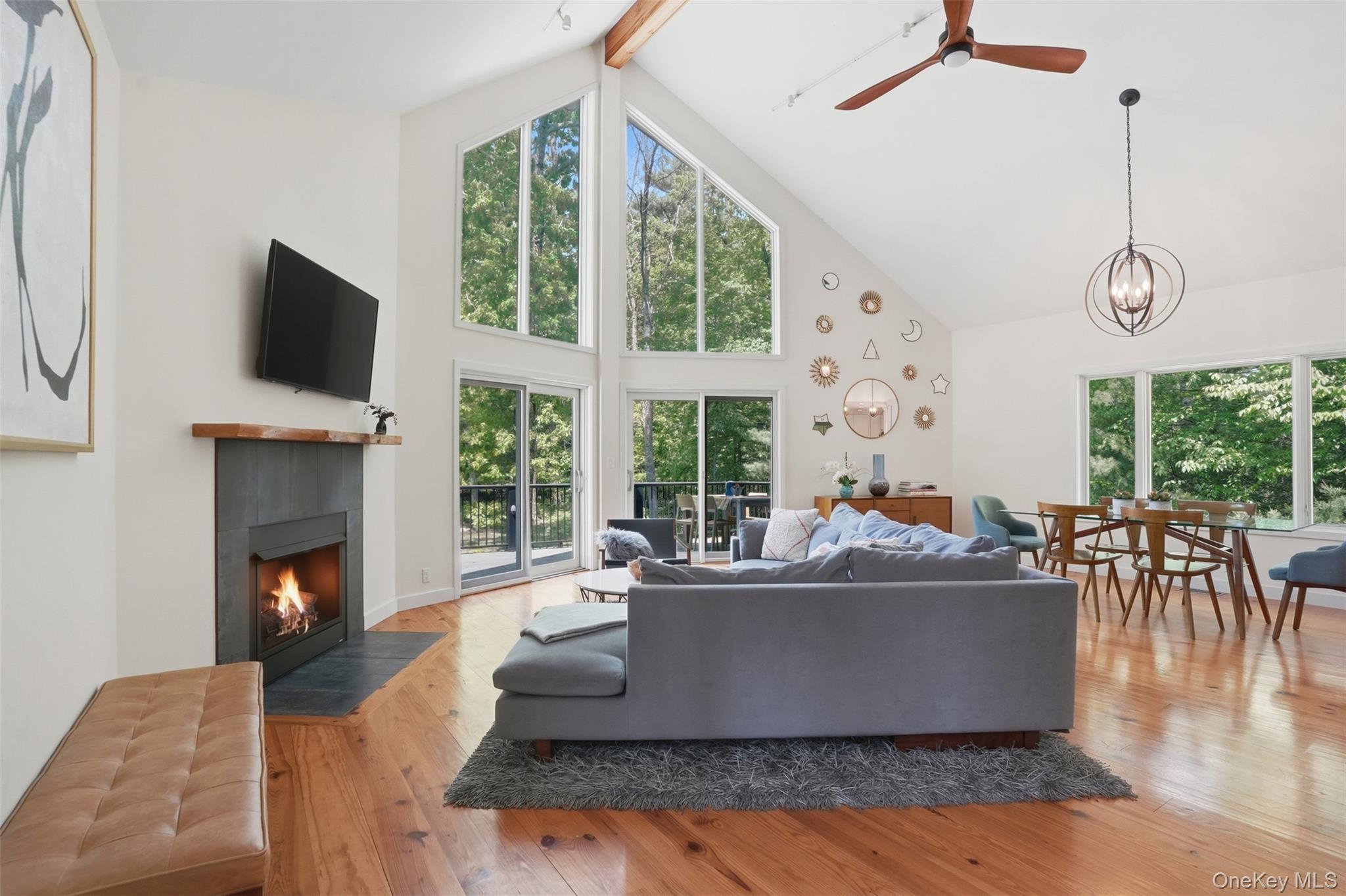 Single Family Woodland Lane  Greene County, NY 12463, MLS-1002603-14