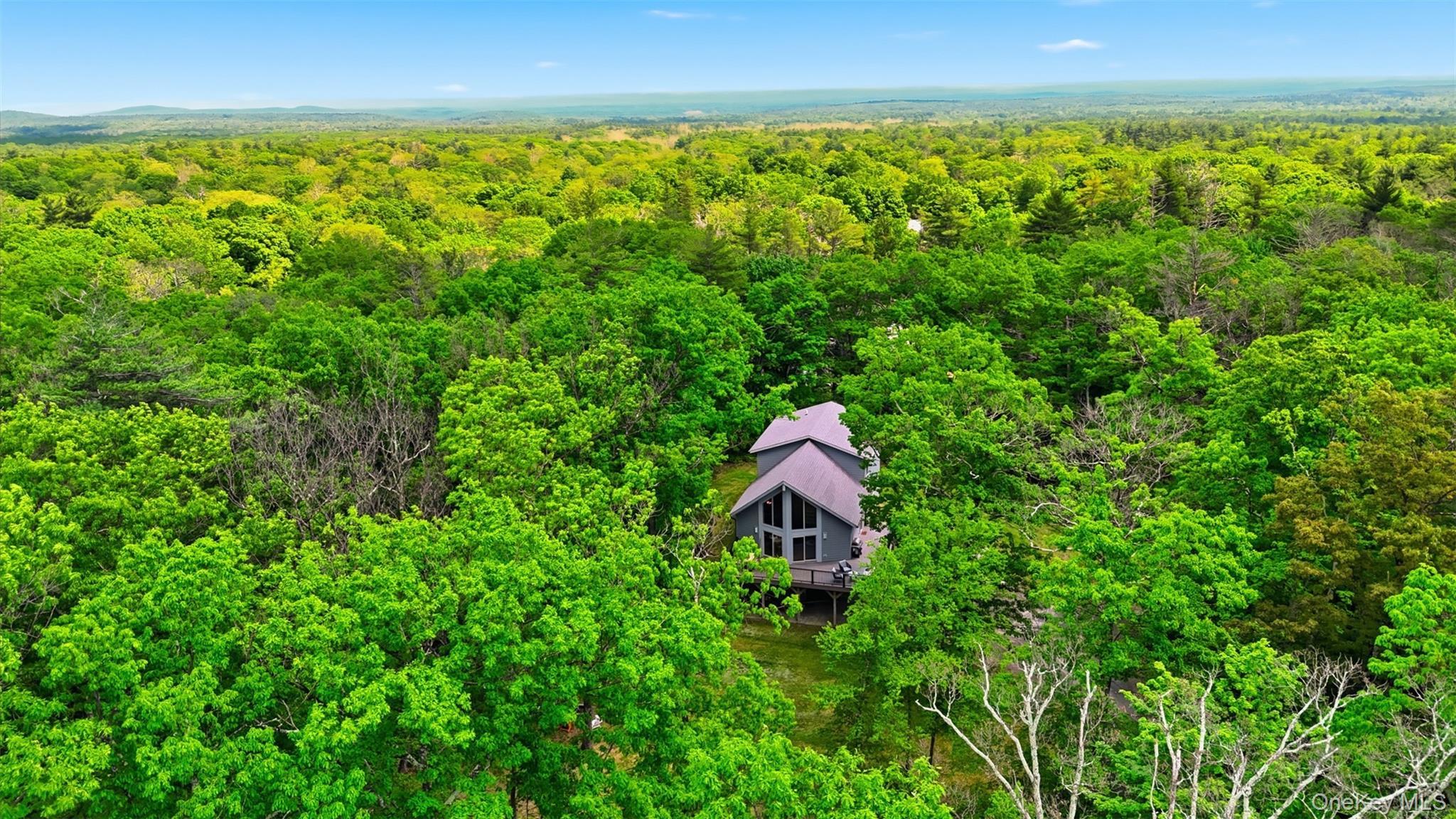 Single Family Woodland Lane  Greene County, NY 12463, MLS-1002603-2