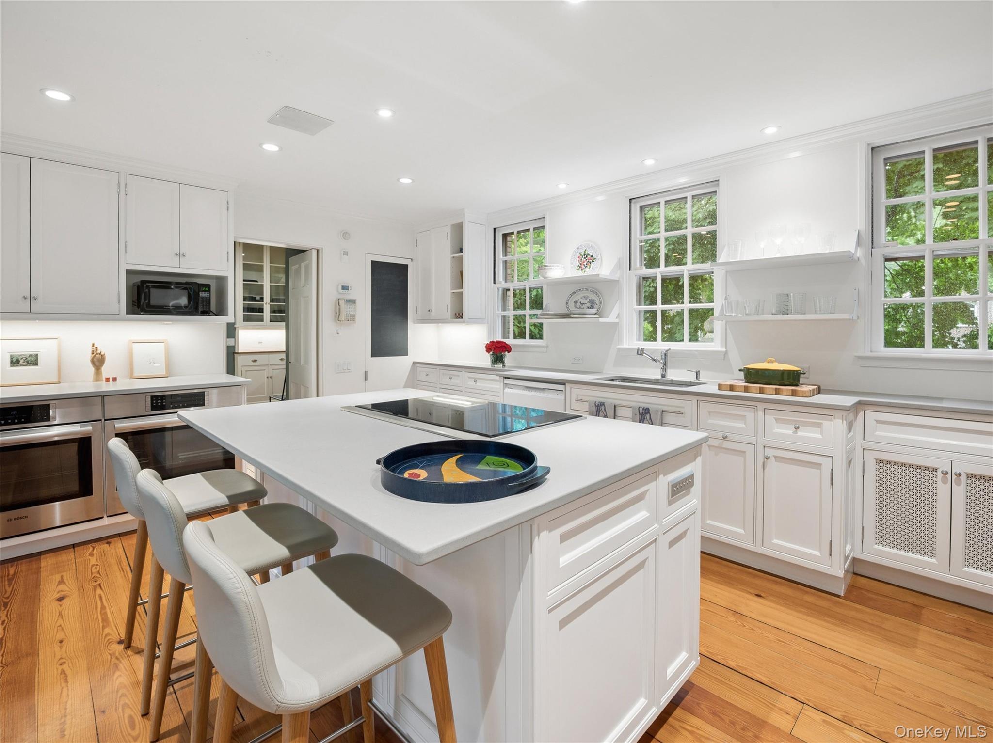 Single Family Park Lane  Westchester County, NY 10803, MLS-1002641-16