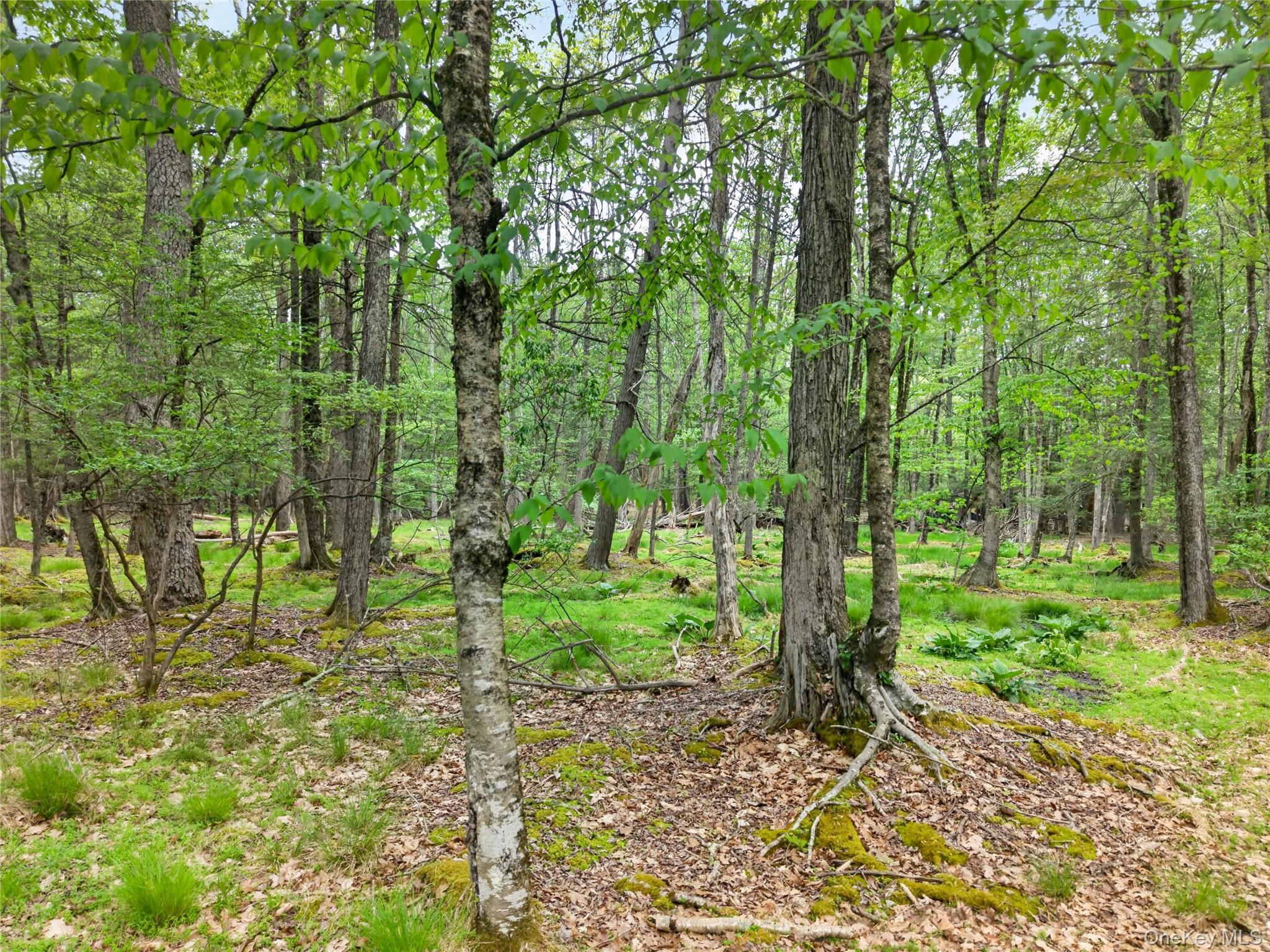 Single Family Ledgeview Drive  Out Of Area, NY 18428, MLS-1002708-40