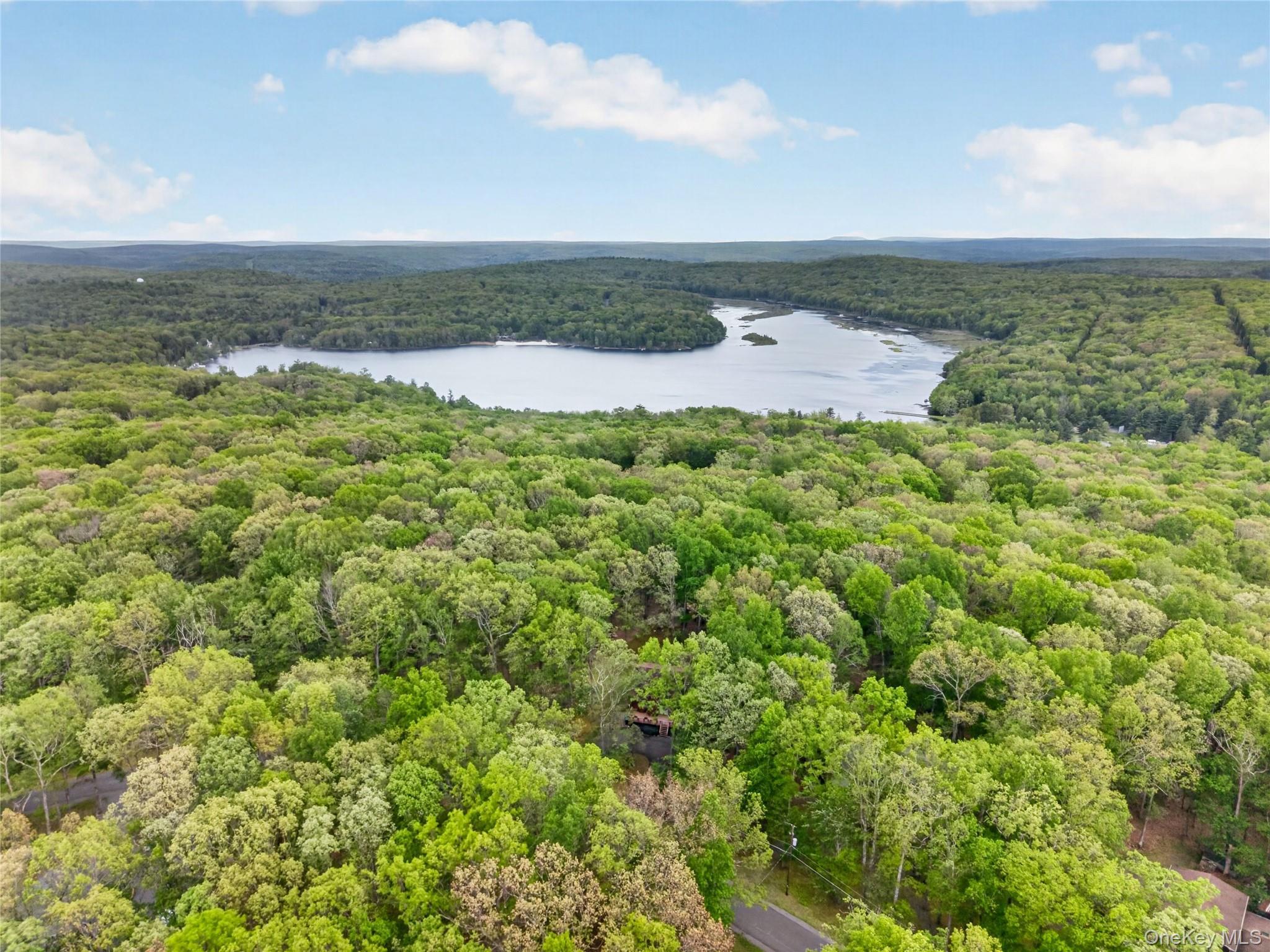 Single Family Ledgeview Drive  Out Of Area, NY 18428, MLS-1002708-46