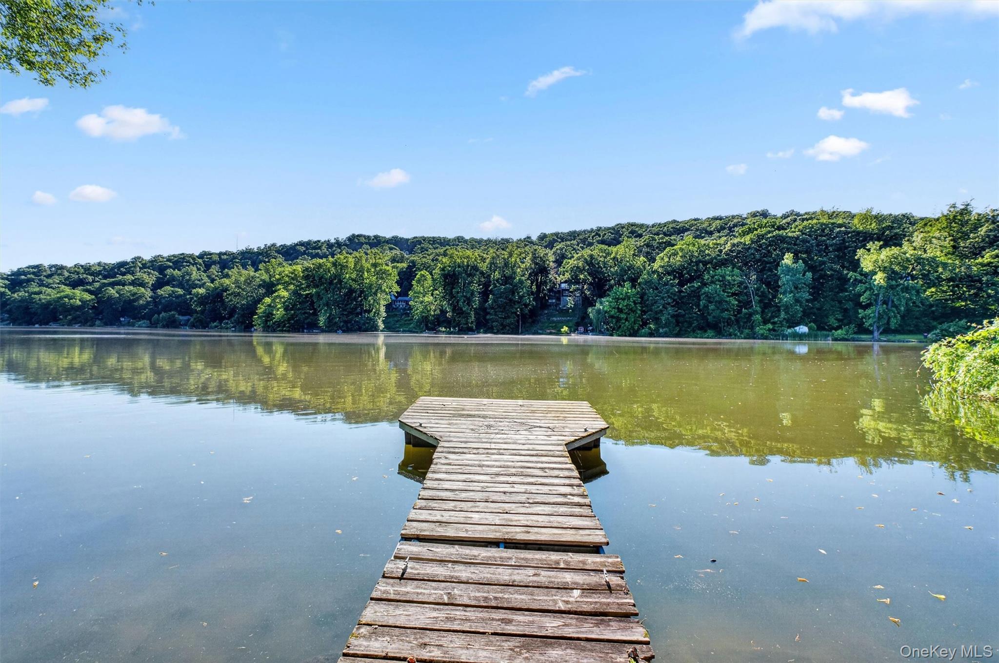 Single Family Lake Drive Putnam County, NY 10537, MLS-1002738-39