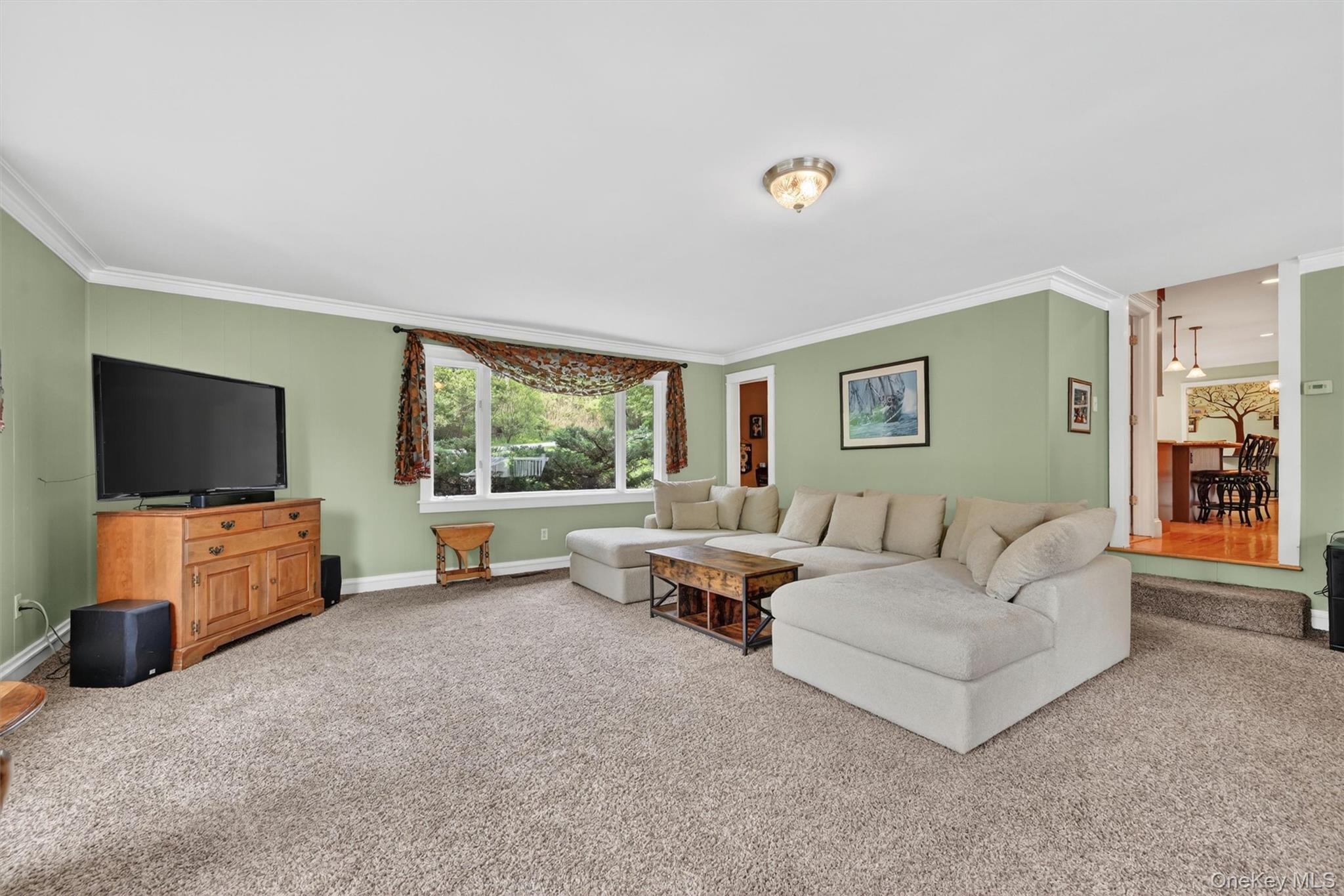 Single Family Mountain Brook Road Orange County, NY 12518, MLS-1002789-23