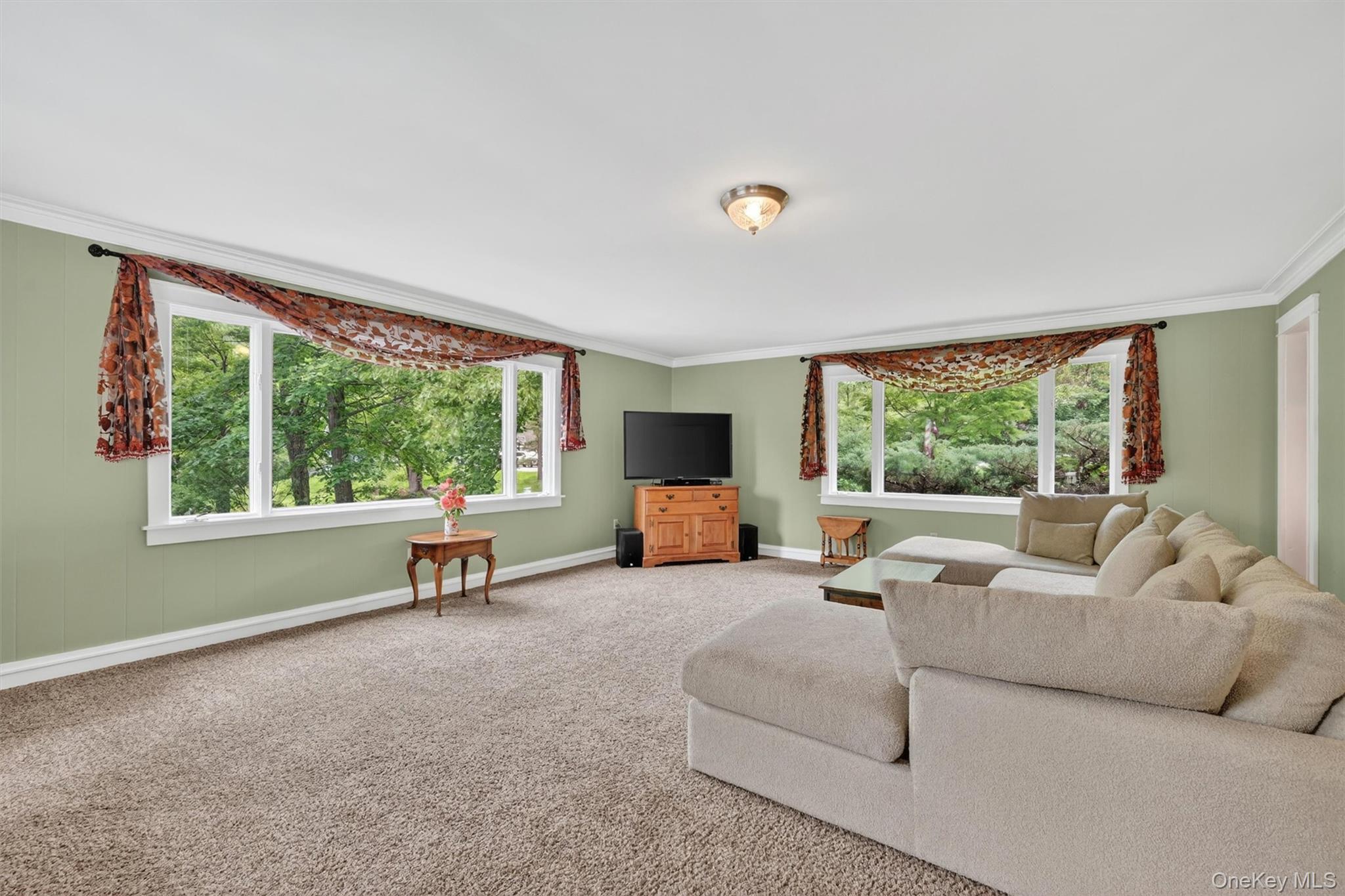 Single Family Mountain Brook Road Orange County, NY 12518, MLS-1002789-24