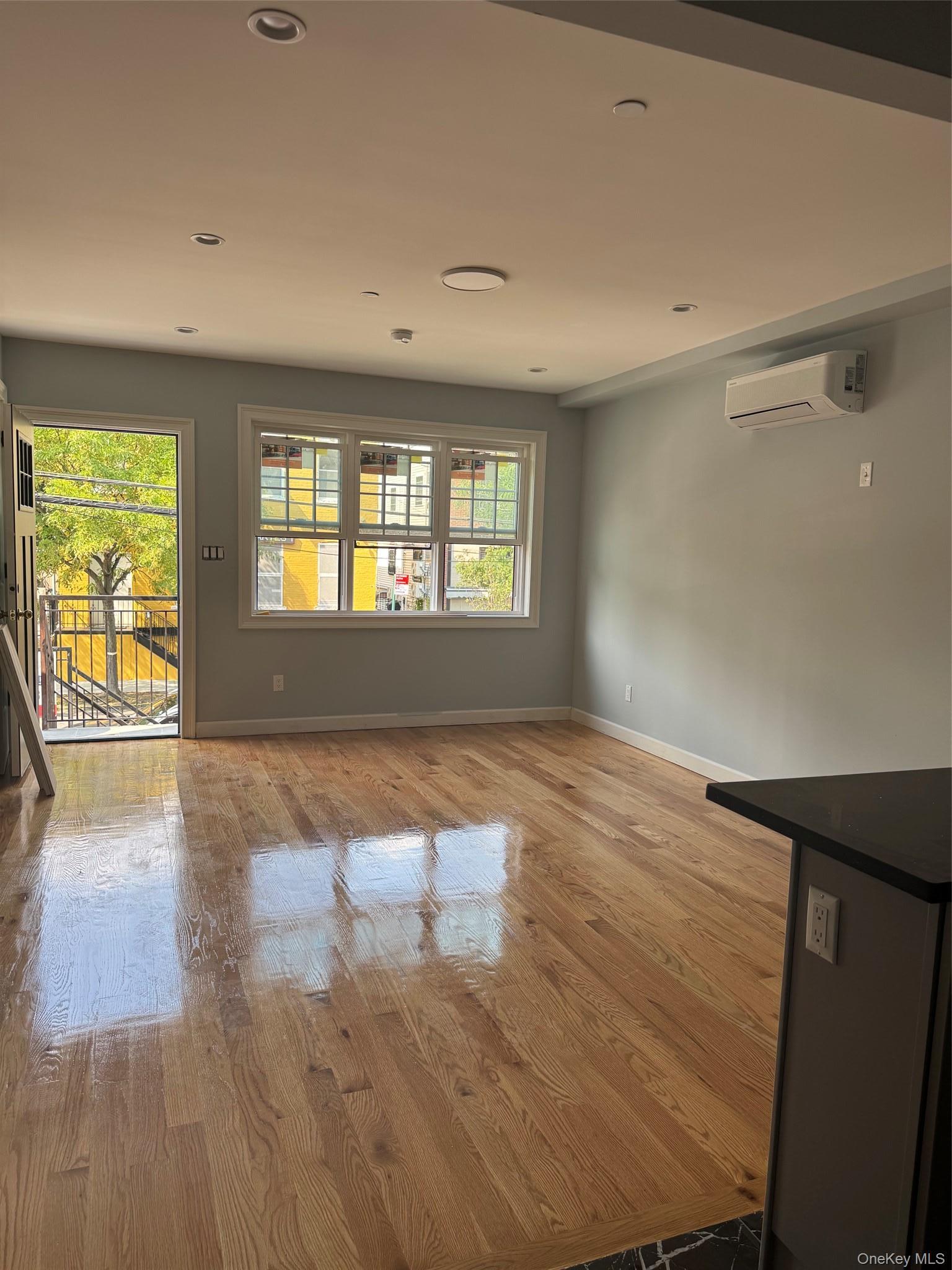 Single Family Glenmore Avenue  Brooklyn, NY 11207, MLS-1002808-5