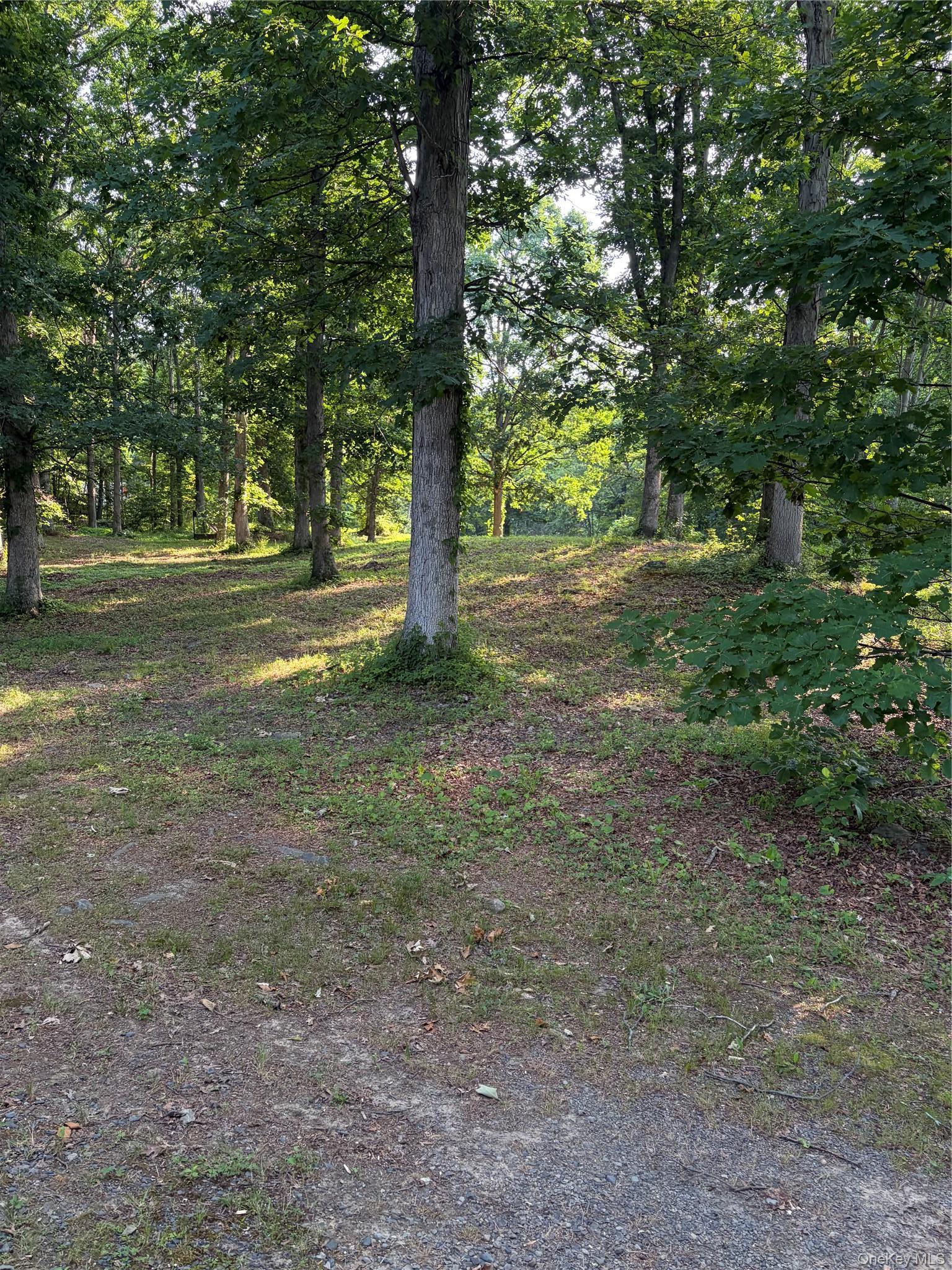 Single Family Decker Road Ulster County, NY 12589, MLS-1002863-43