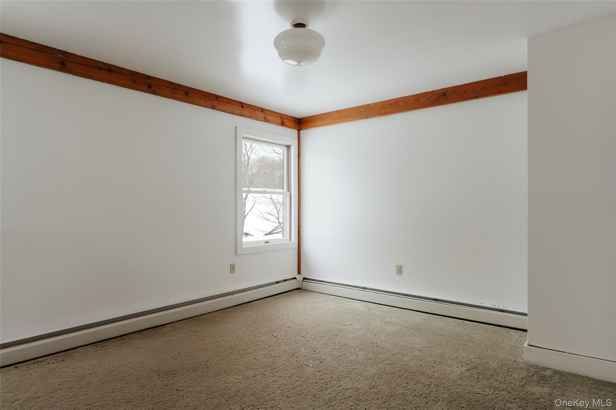 Single Family Beckys Hill Road Sullivan County, NY 12747, MLS-1002927-18
