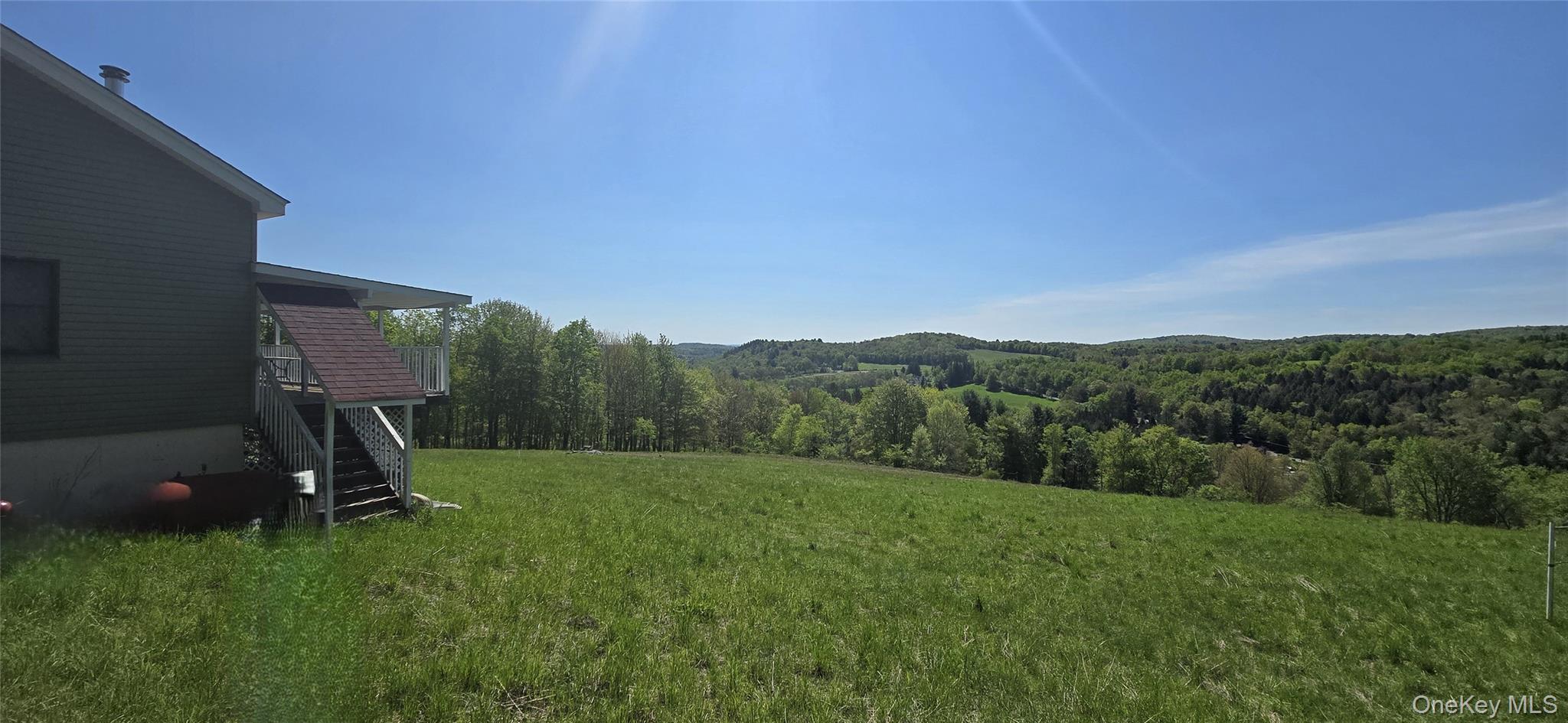 Single Family Beckys Hill Road Sullivan County, NY 12747, MLS-1002927-31