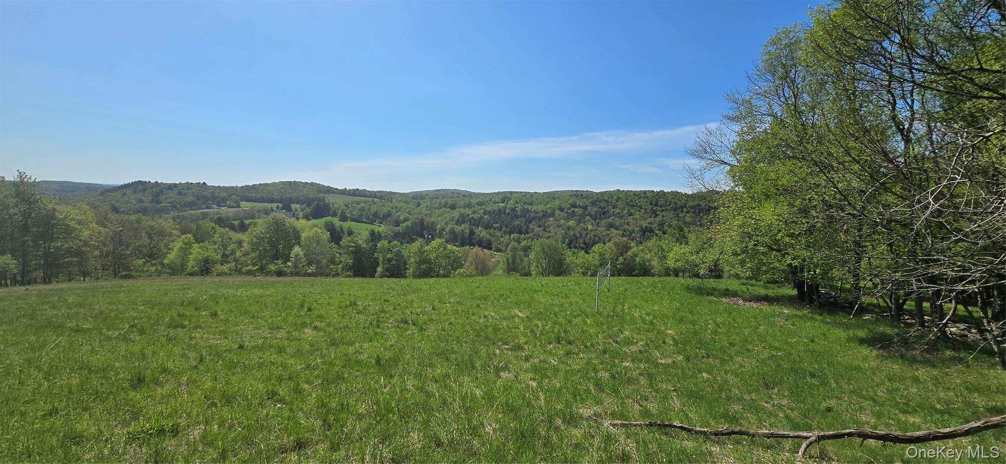 Single Family Beckys Hill Road Sullivan County, NY 12747, MLS-1002927-32