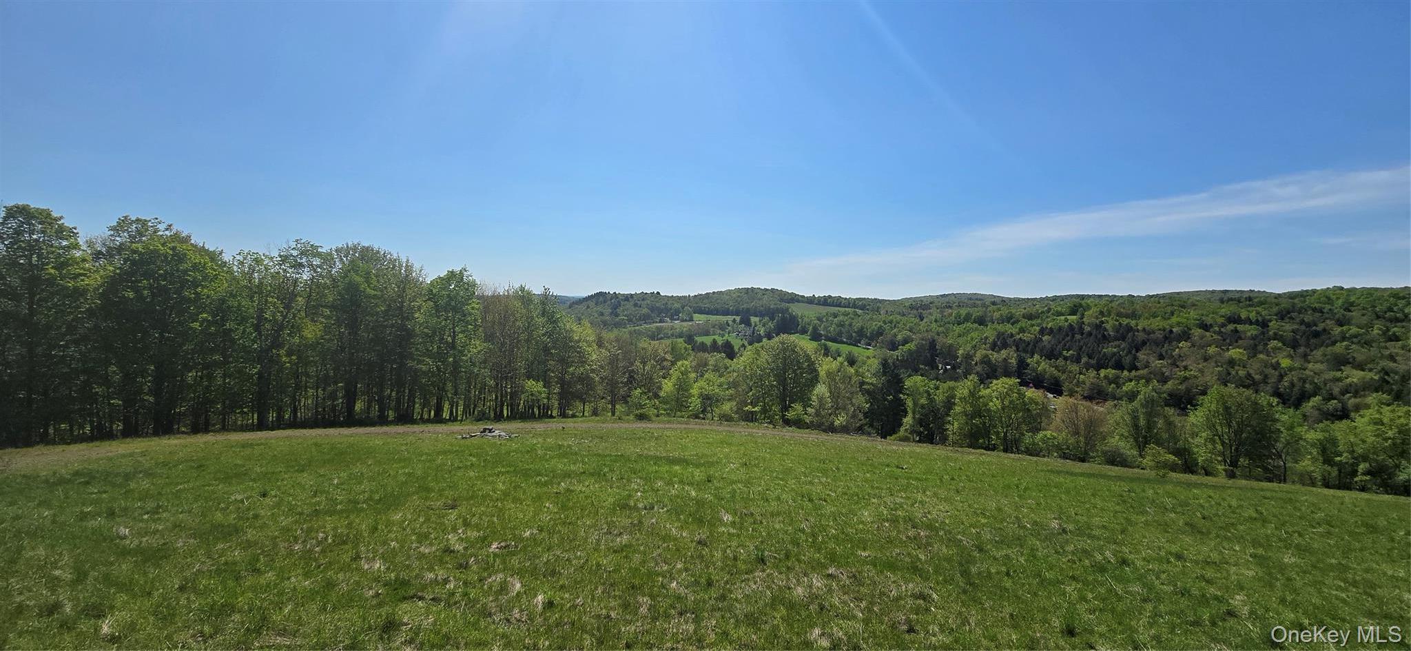 Single Family Beckys Hill Road Sullivan County, NY 12747, MLS-1002927-33