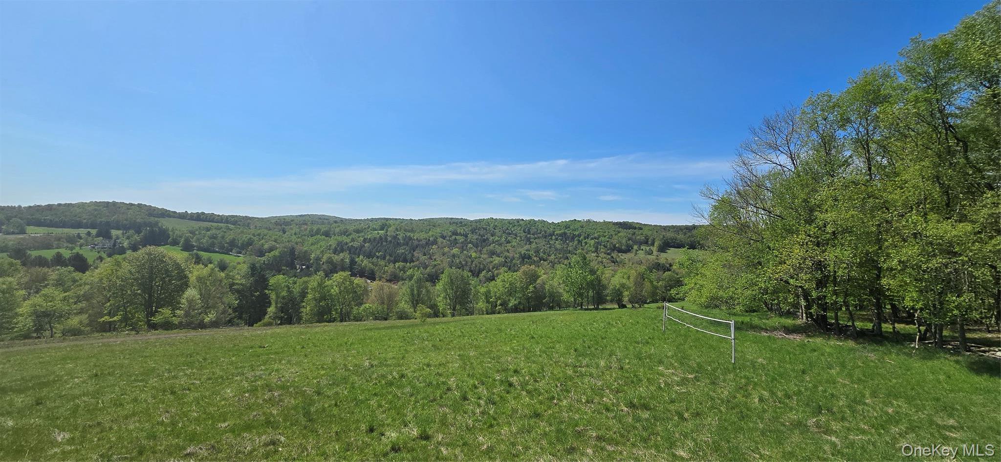 Single Family Beckys Hill Road Sullivan County, NY 12747, MLS-1002927-34