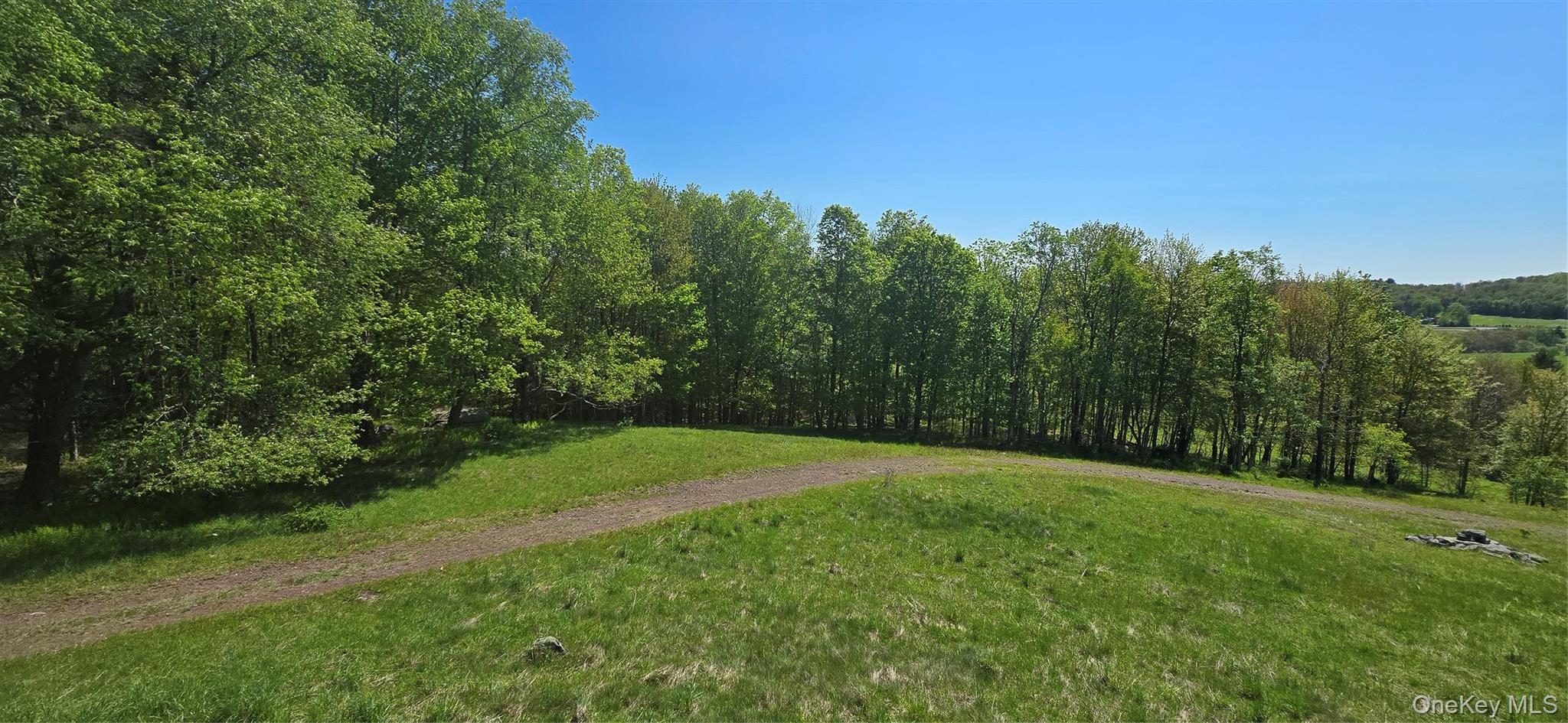 Single Family Beckys Hill Road Sullivan County, NY 12747, MLS-1002927-35