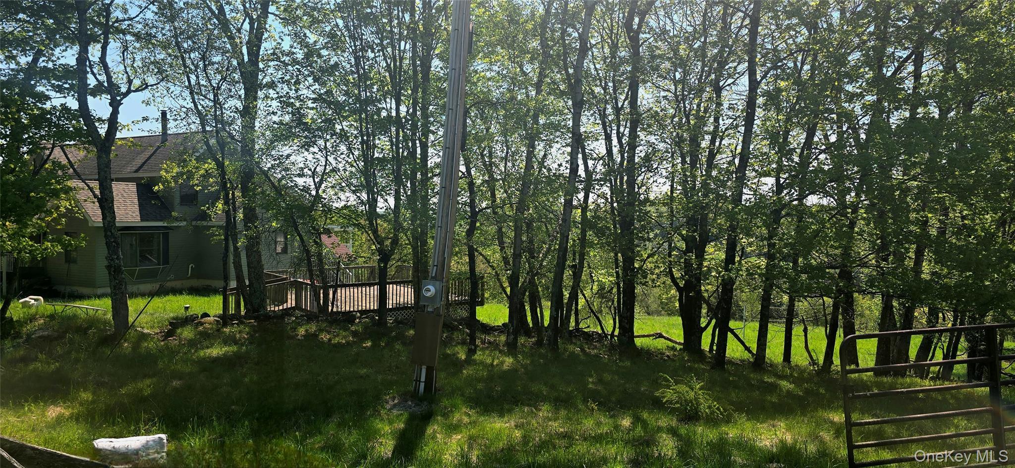 Single Family Beckys Hill Road Sullivan County, NY 12747, MLS-1002927-36