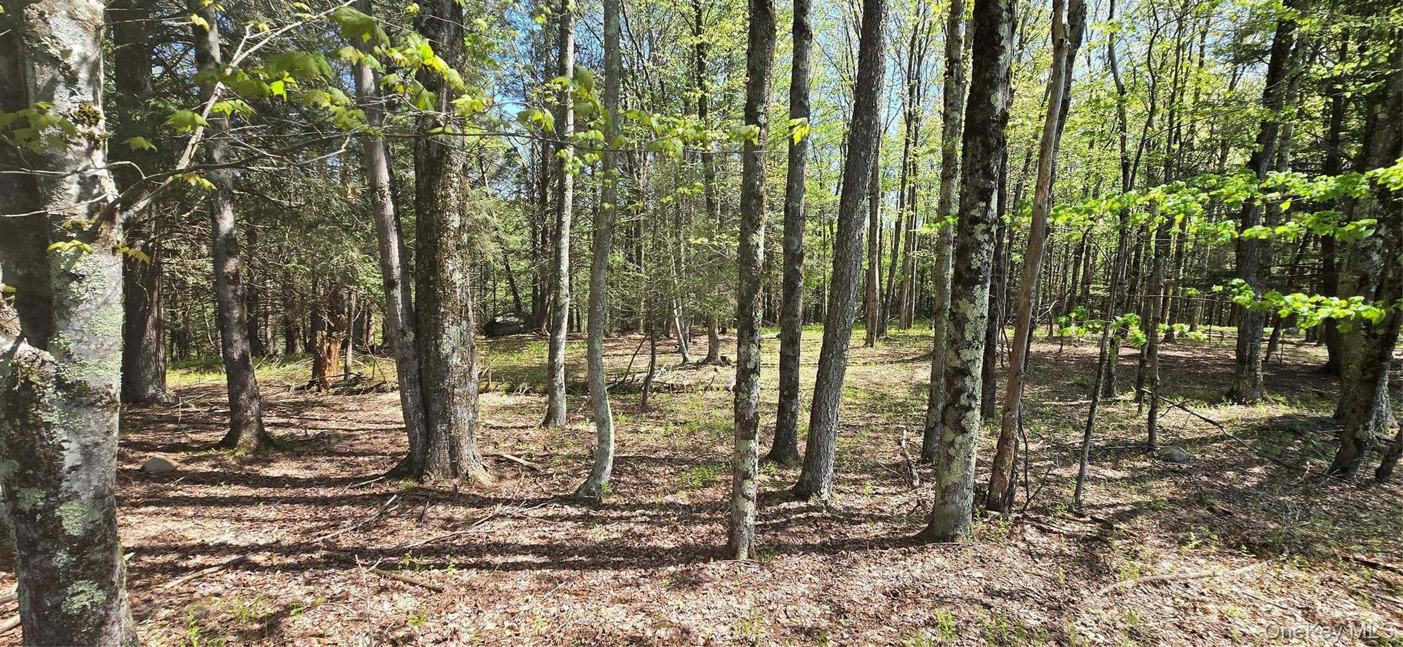 Single Family Beckys Hill Road Sullivan County, NY 12747, MLS-1002927-37