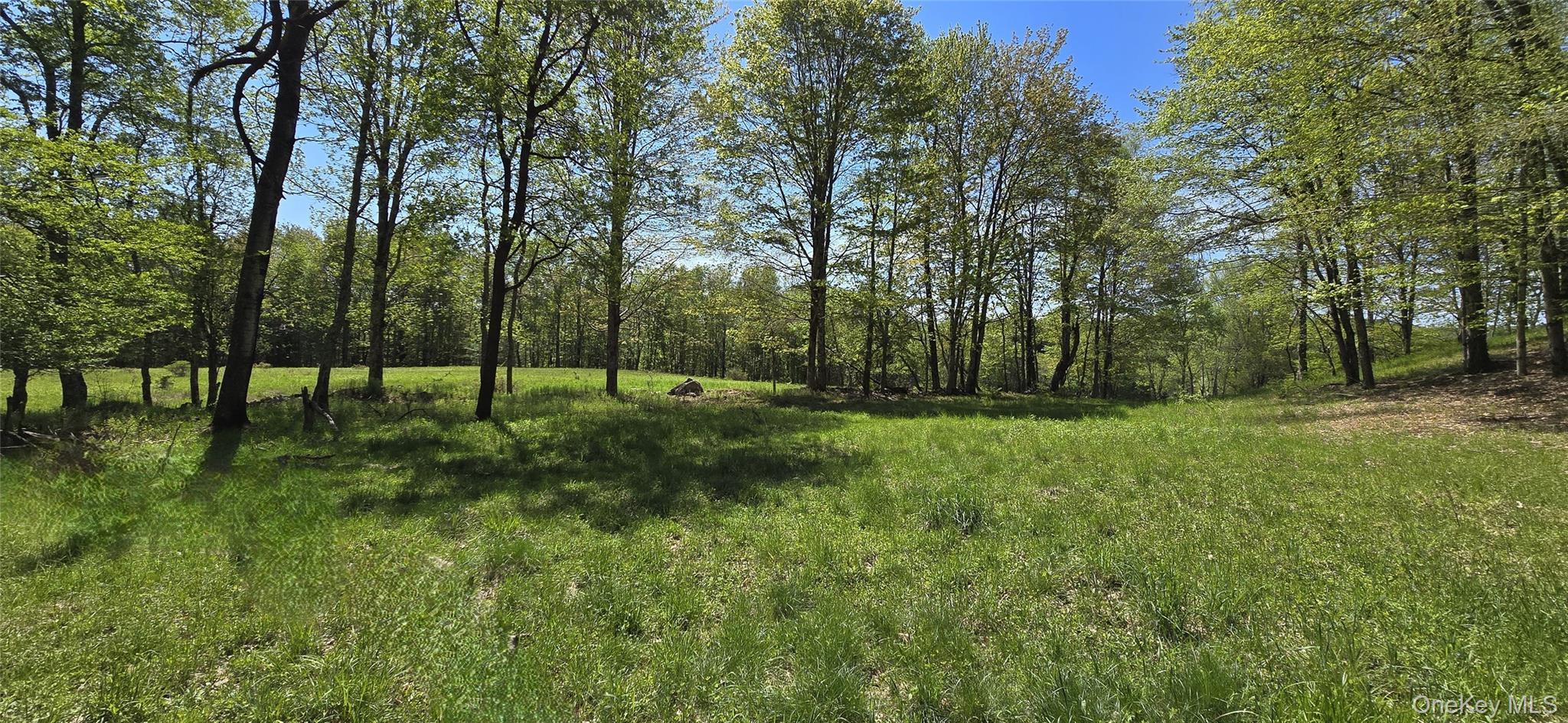 Single Family Beckys Hill Road Sullivan County, NY 12747, MLS-1002927-40