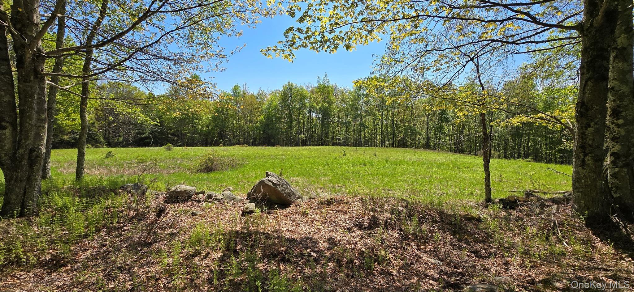 Single Family Beckys Hill Road Sullivan County, NY 12747, MLS-1002927-41