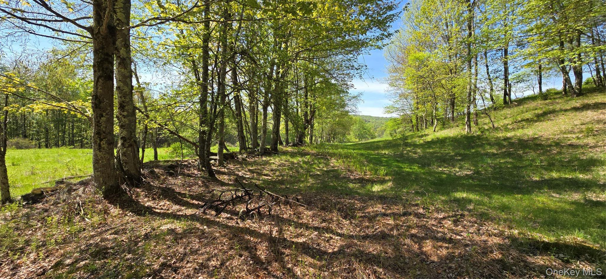 Single Family Beckys Hill Road Sullivan County, NY 12747, MLS-1002927-42
