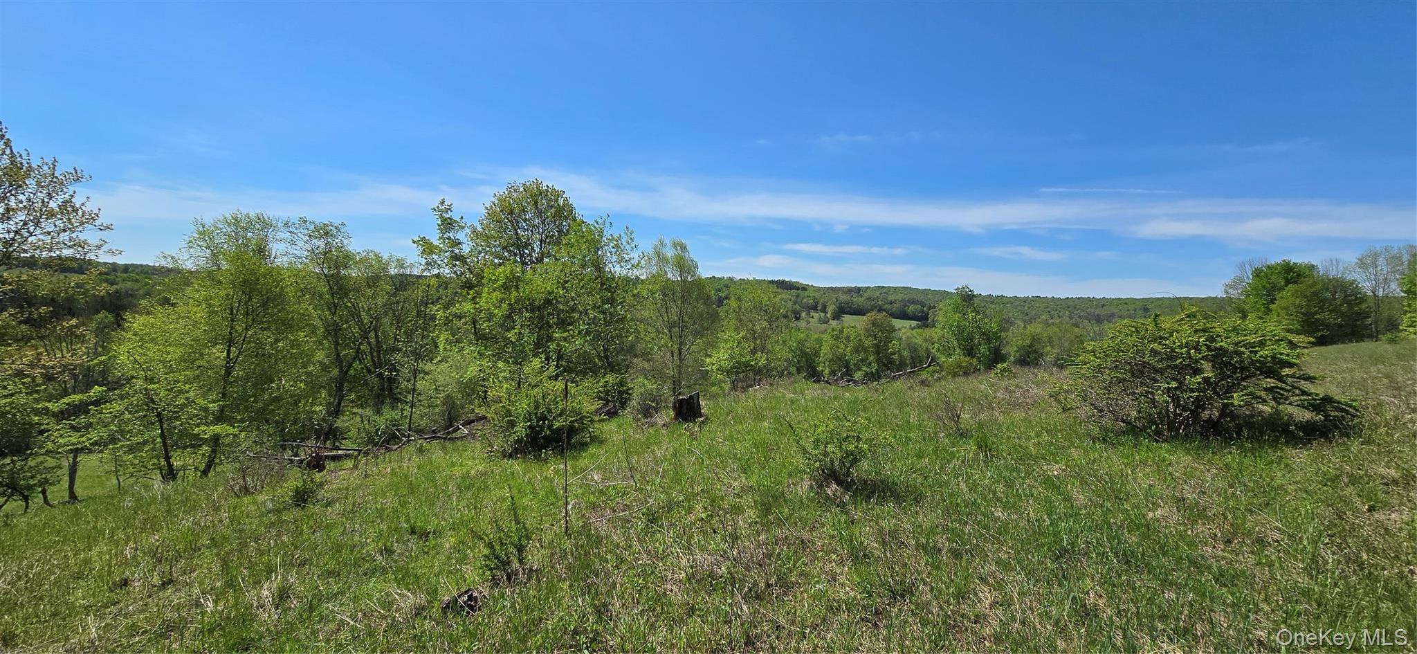 Single Family Beckys Hill Road Sullivan County, NY 12747, MLS-1002927-43