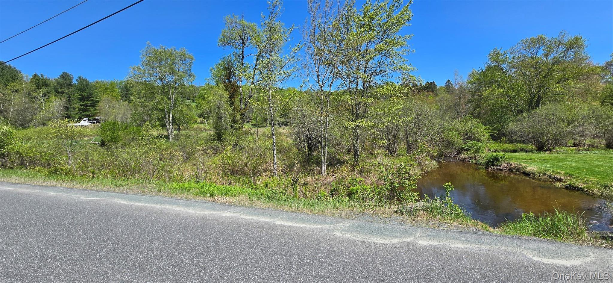 Single Family Beckys Hill Road Sullivan County, NY 12747, MLS-1002927-45