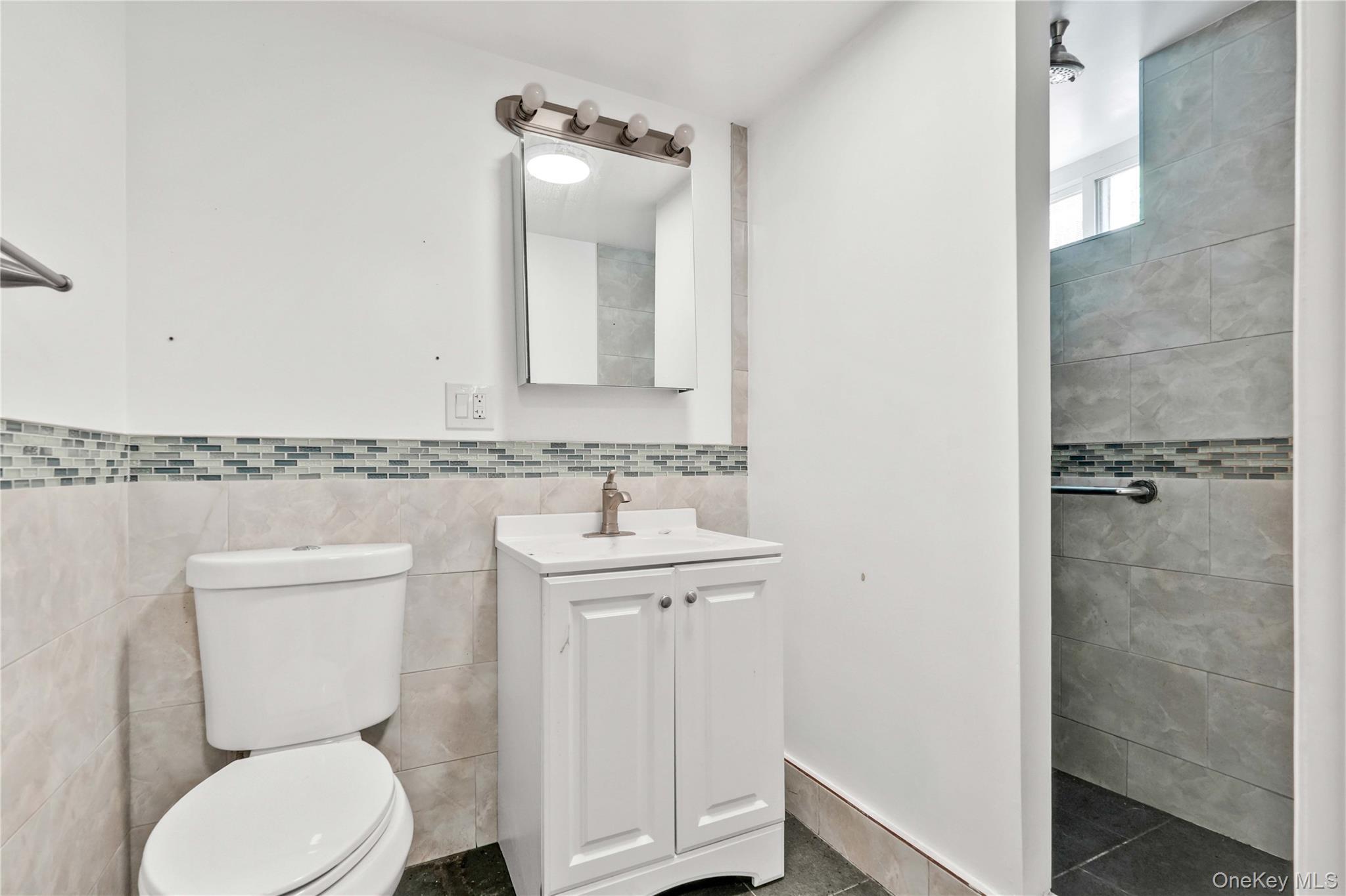 Single Family 201st Queens, NY 11423, MLS-1002934-29