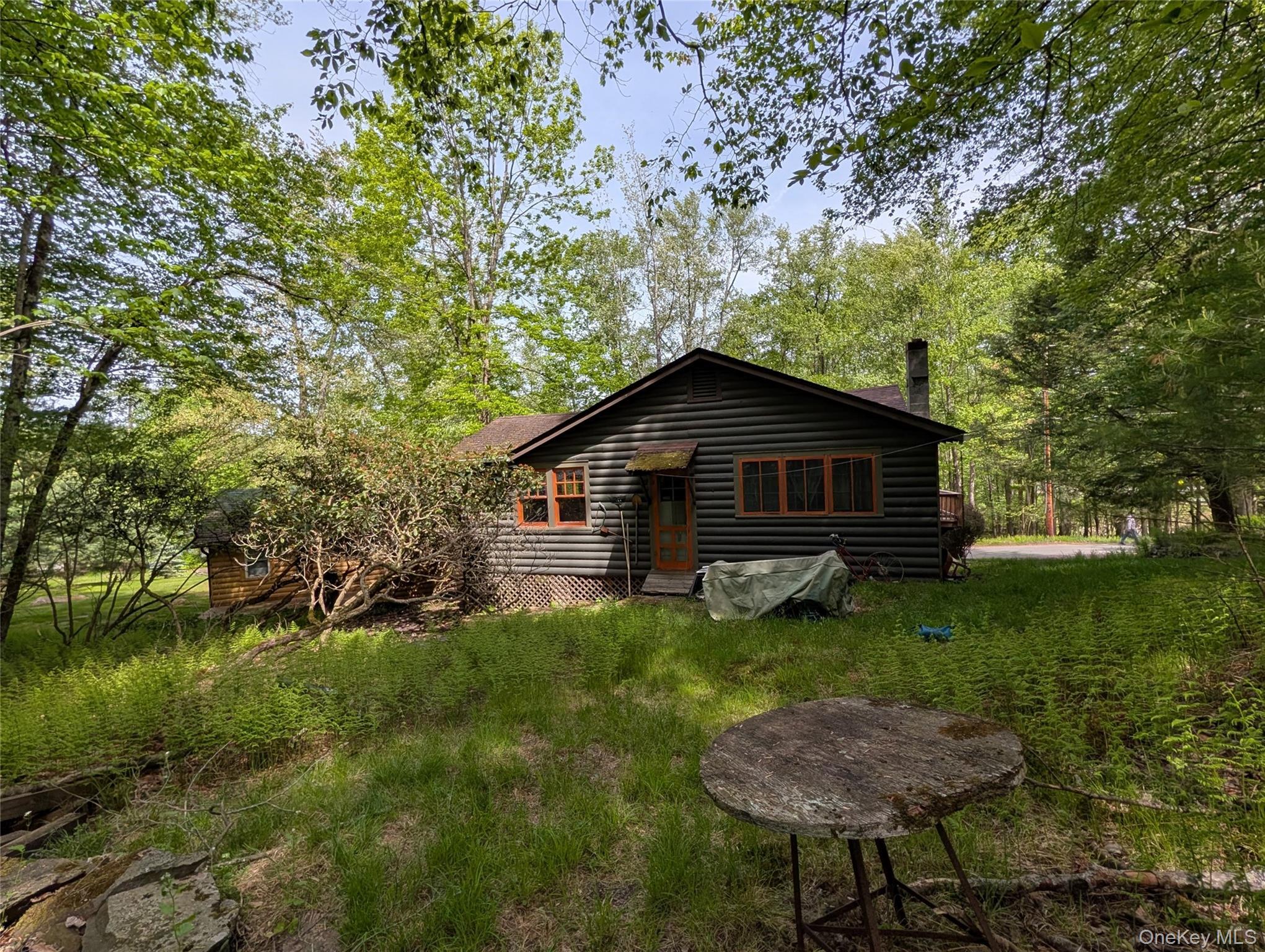 Single Family Lake Shore Drive Sullivan County, NY 12778, MLS-1003006-23