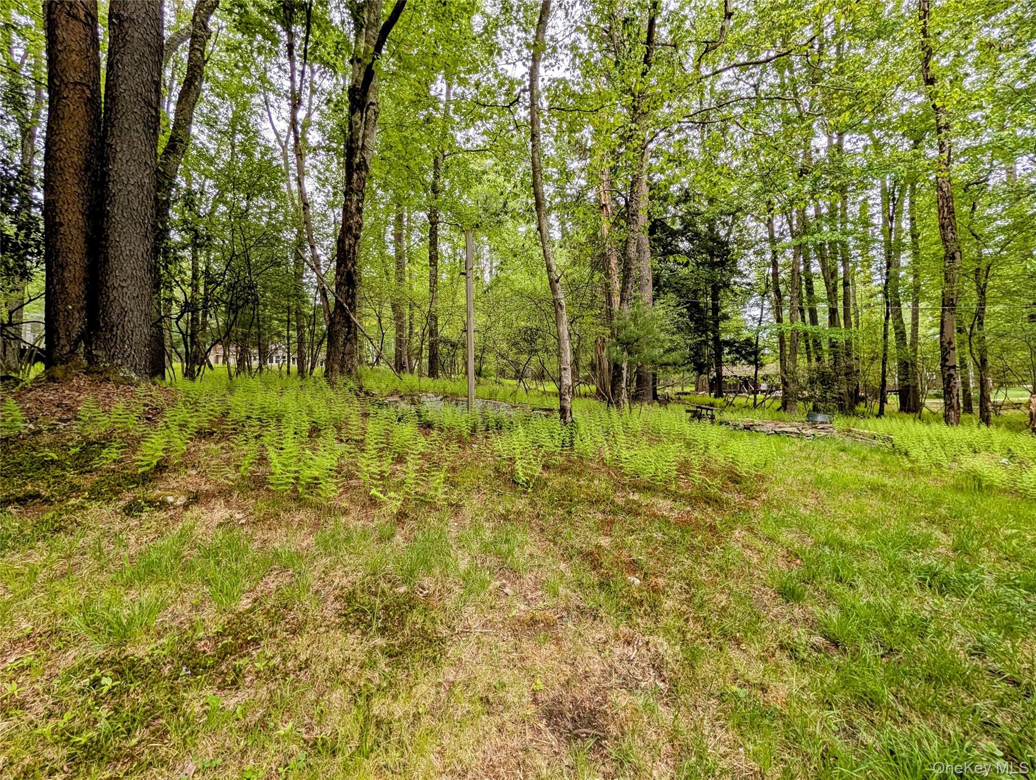 Single Family Lake Shore Drive Sullivan County, NY 12778, MLS-1003006-36
