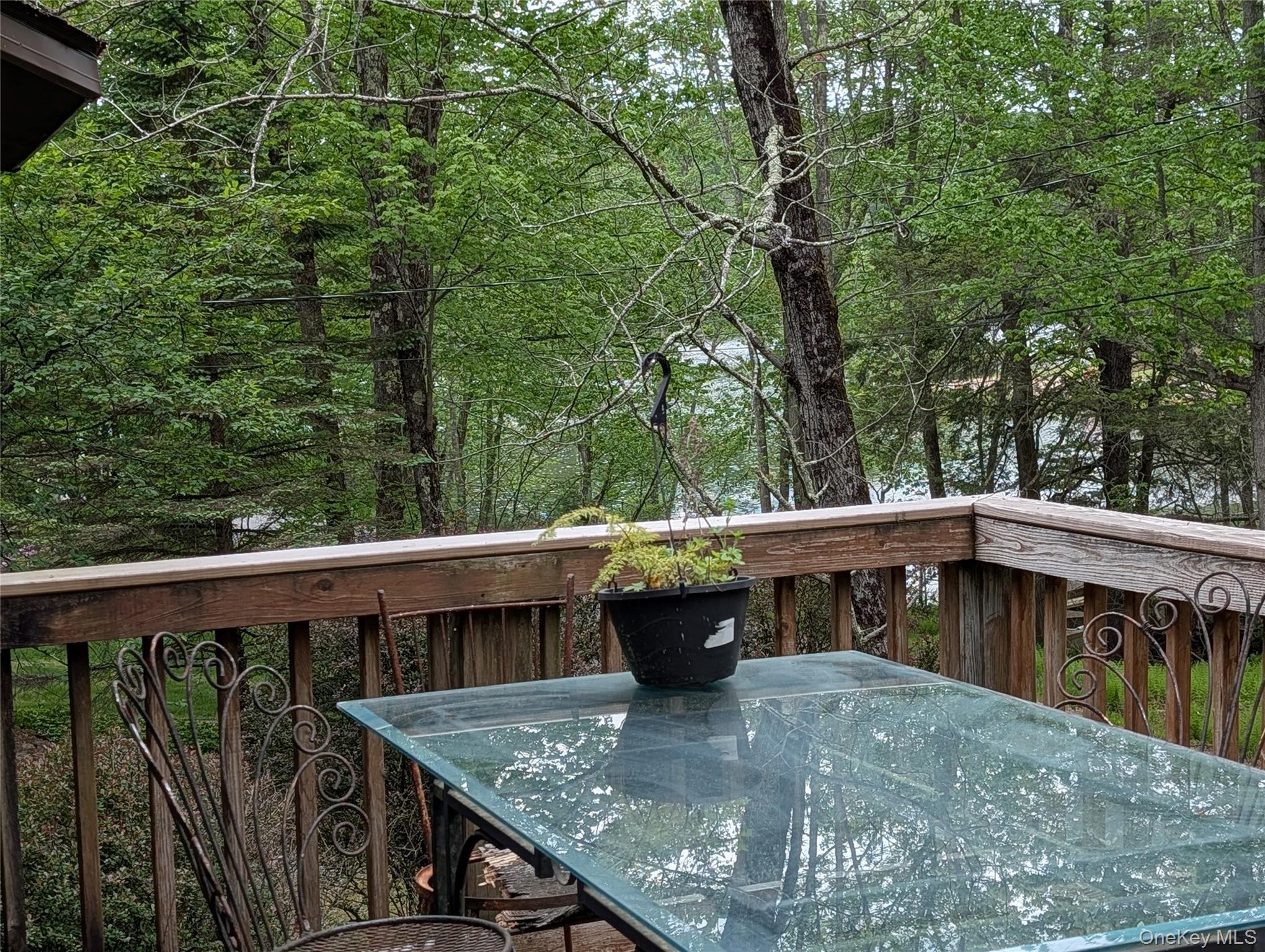 Single Family Lake Shore Drive Sullivan County, NY 12778, MLS-1003006-4