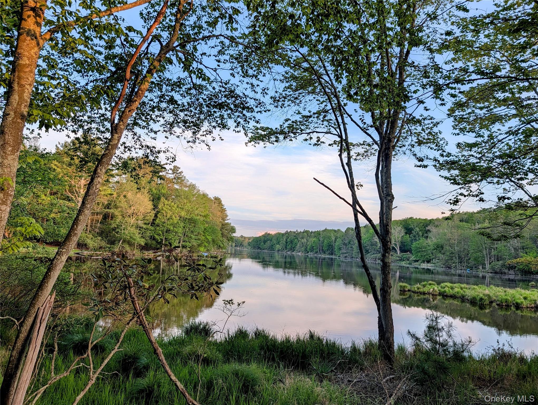 Single Family Lake Shore Drive Sullivan County, NY 12778, MLS-1003006-40