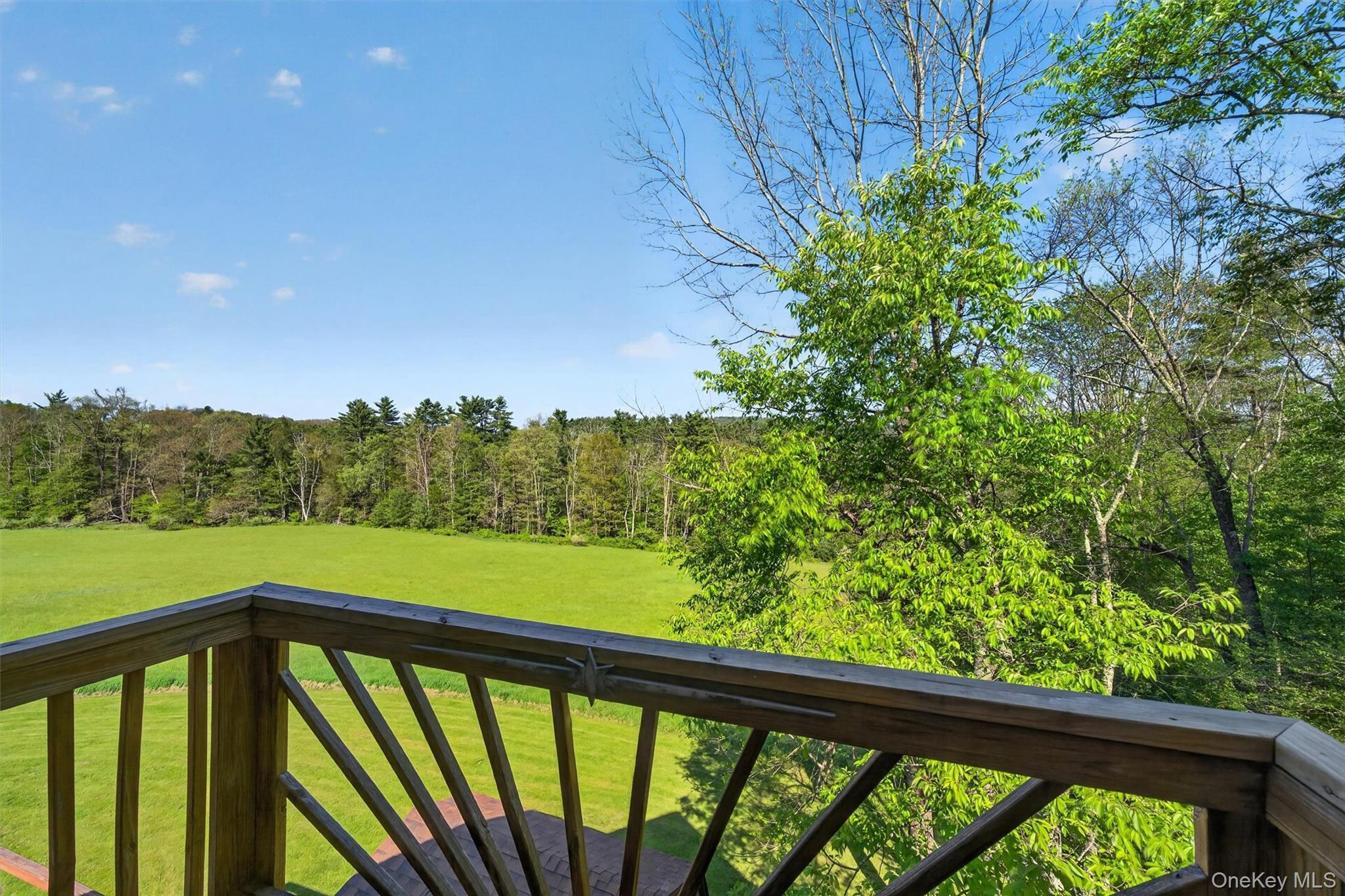 Single Family Hospital Road  Sullivan County, NY 12723, MLS-1003008-22