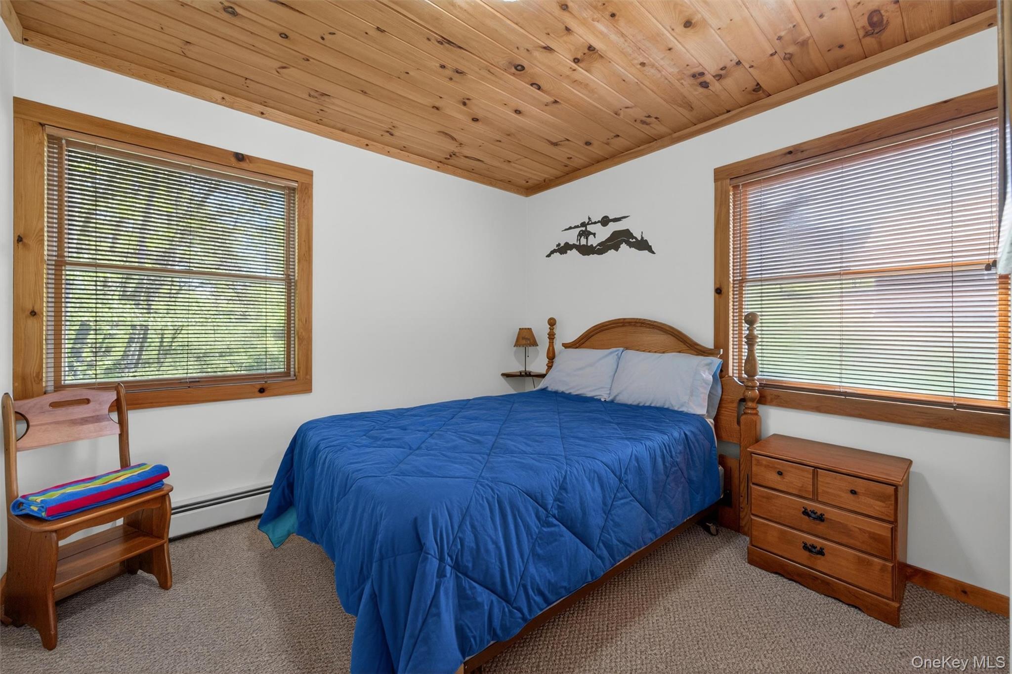 Single Family Hospital Road  Sullivan County, NY 12723, MLS-1003008-24