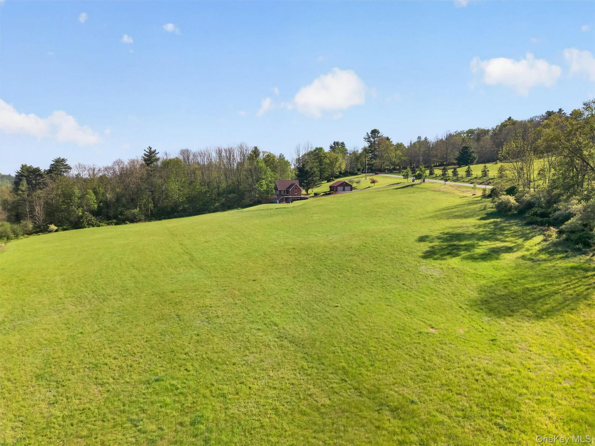 Single Family Hospital Road  Sullivan County, NY 12723, MLS-1003008-32