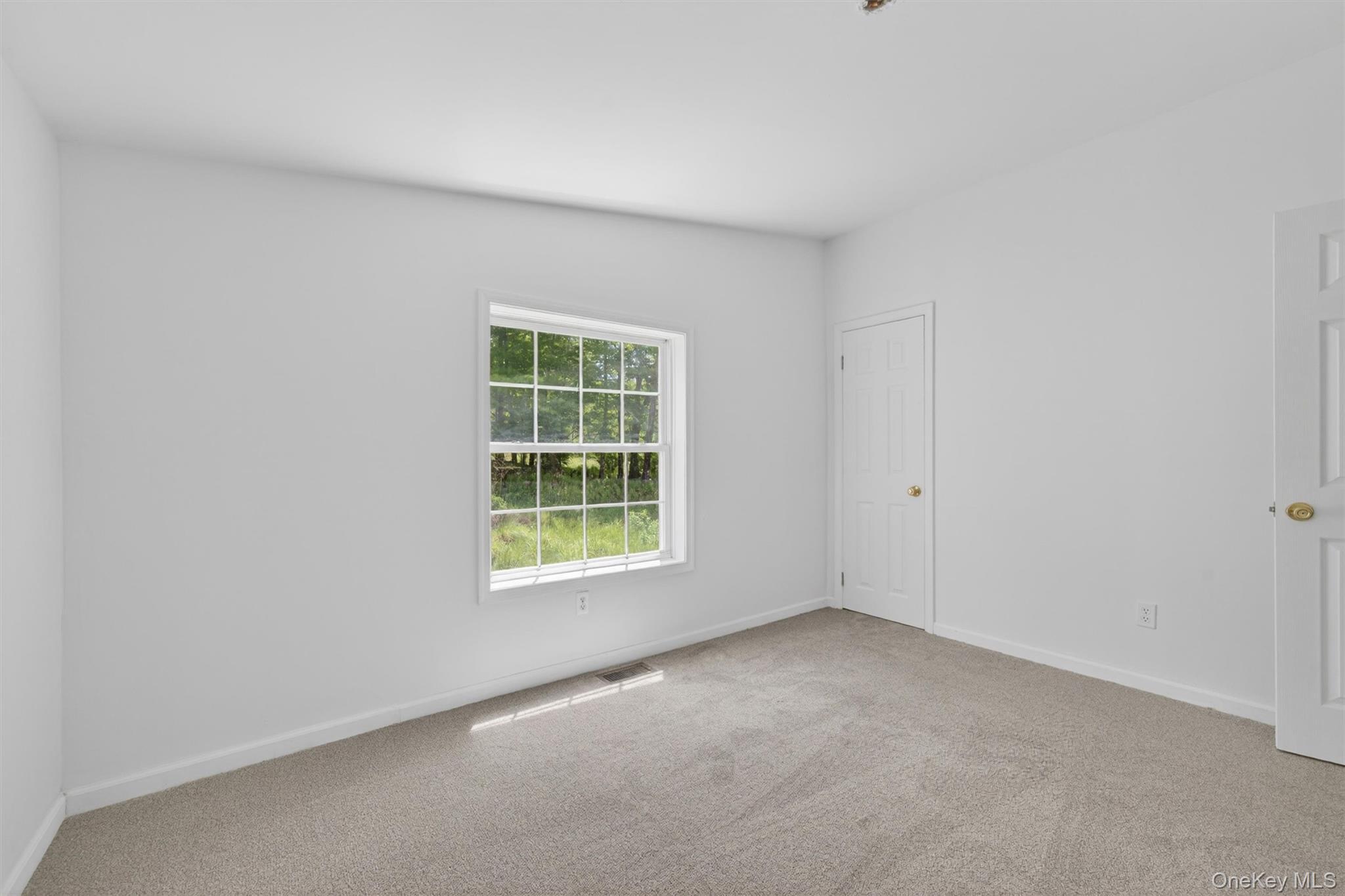 Single Family Bernas Road  Sullivan County, NY 12726, MLS-1003029-21