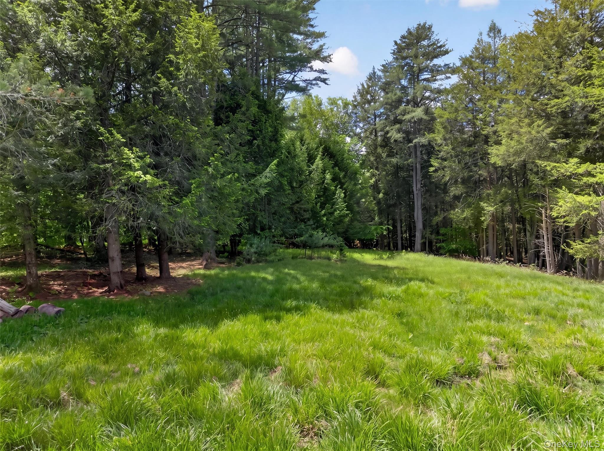 Single Family Bernas Road  Sullivan County, NY 12726, MLS-1003029-42