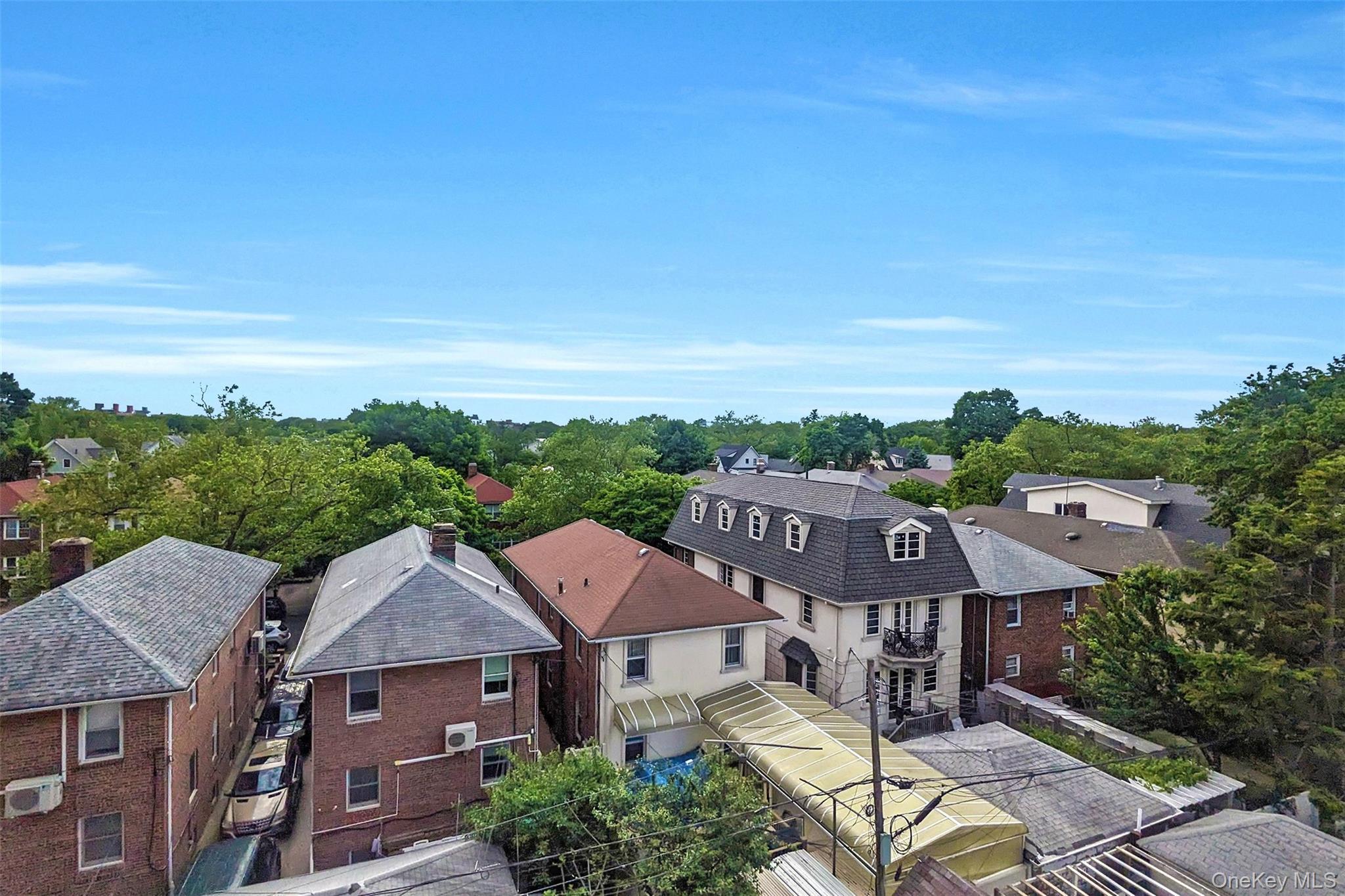 Coop Kings  Brooklyn, NY 11229, MLS-1003074-10