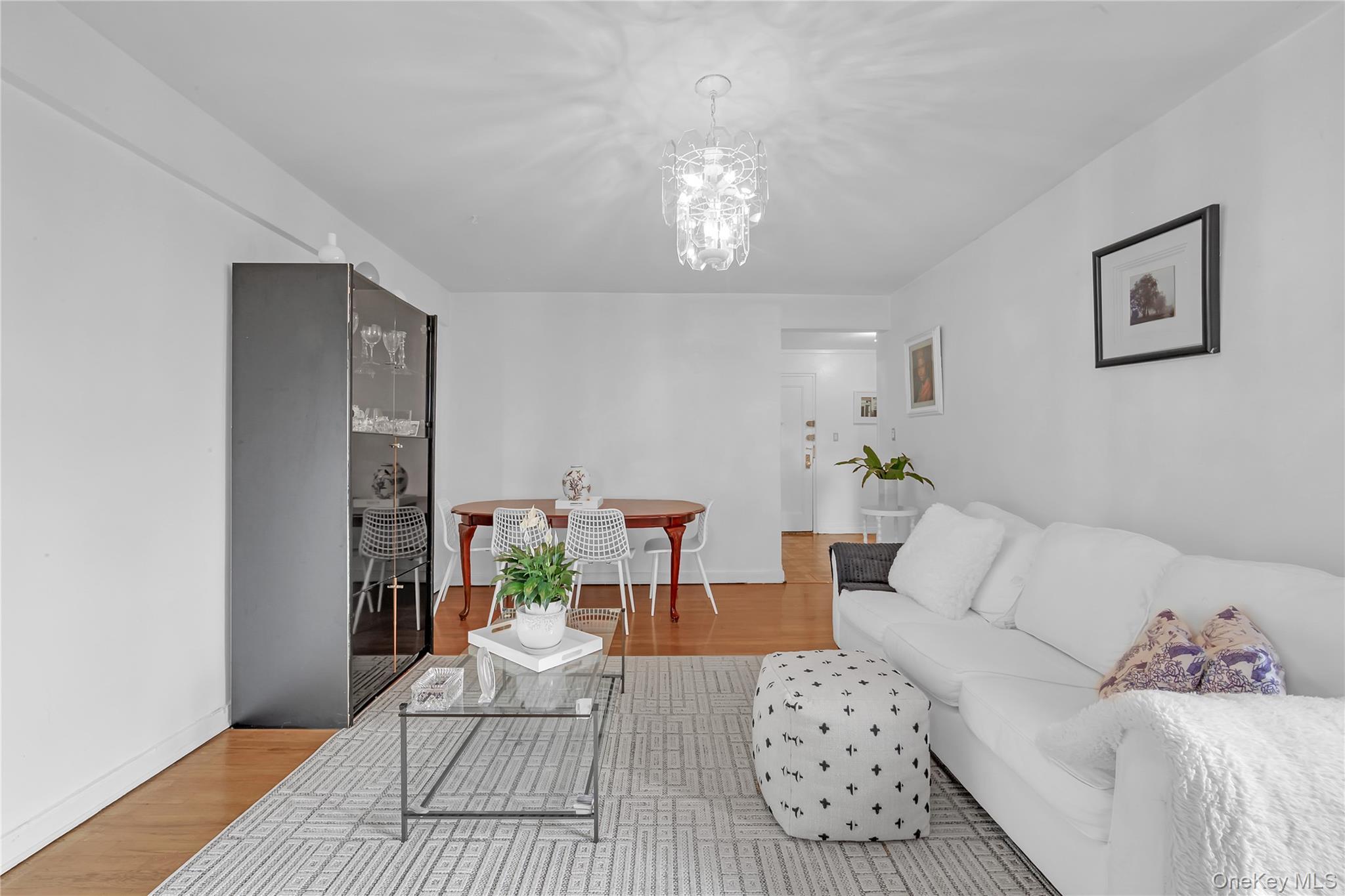 Coop Kings  Brooklyn, NY 11229, MLS-1003074-2