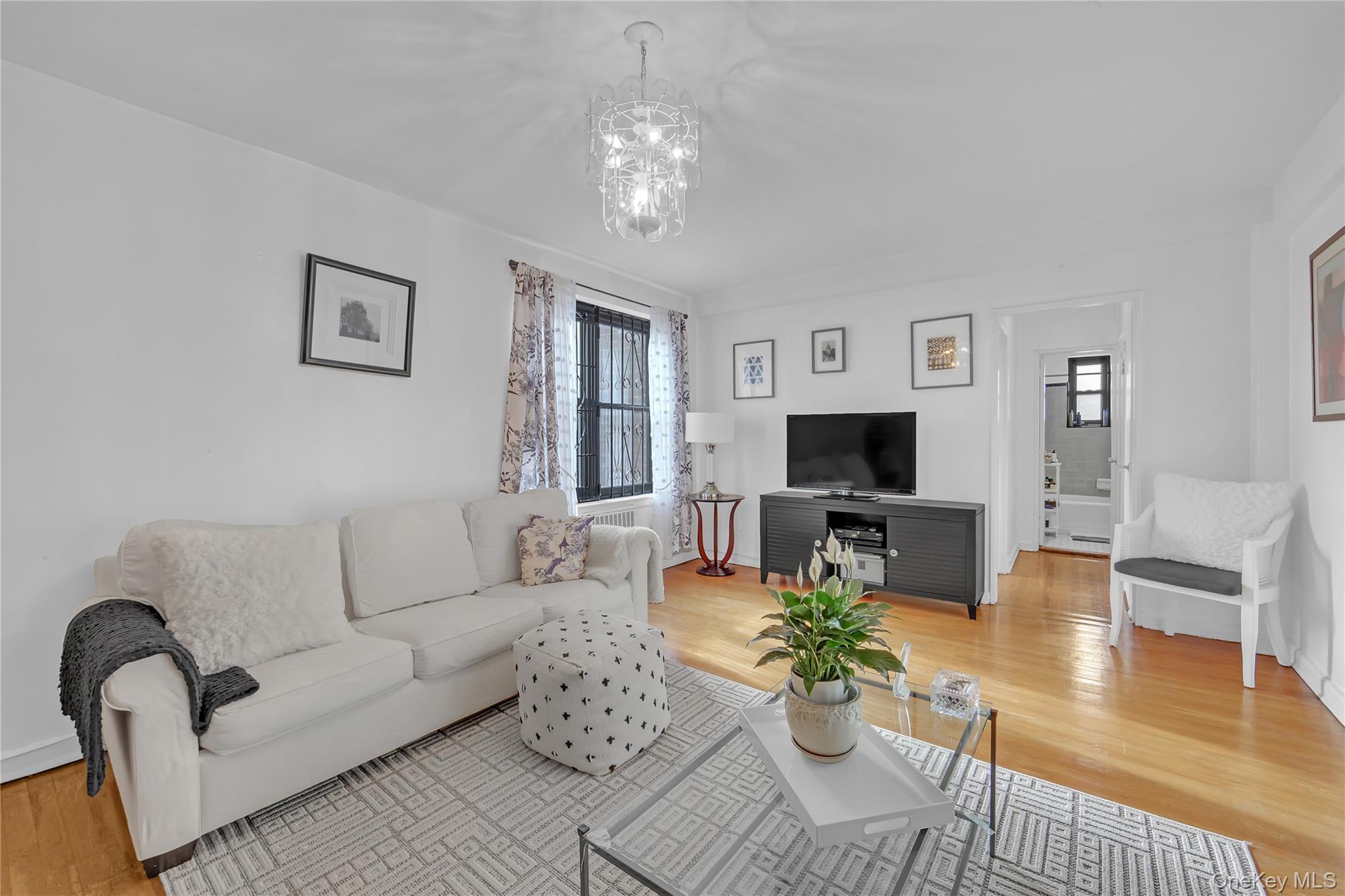 Coop Kings  Brooklyn, NY 11229, MLS-1003074-5