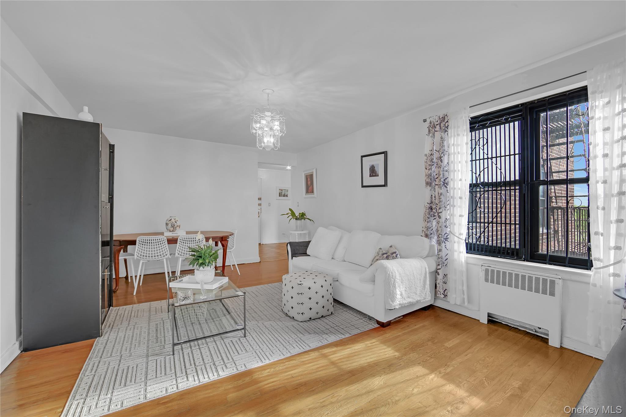 Coop Kings  Brooklyn, NY 11229, MLS-1003074-6