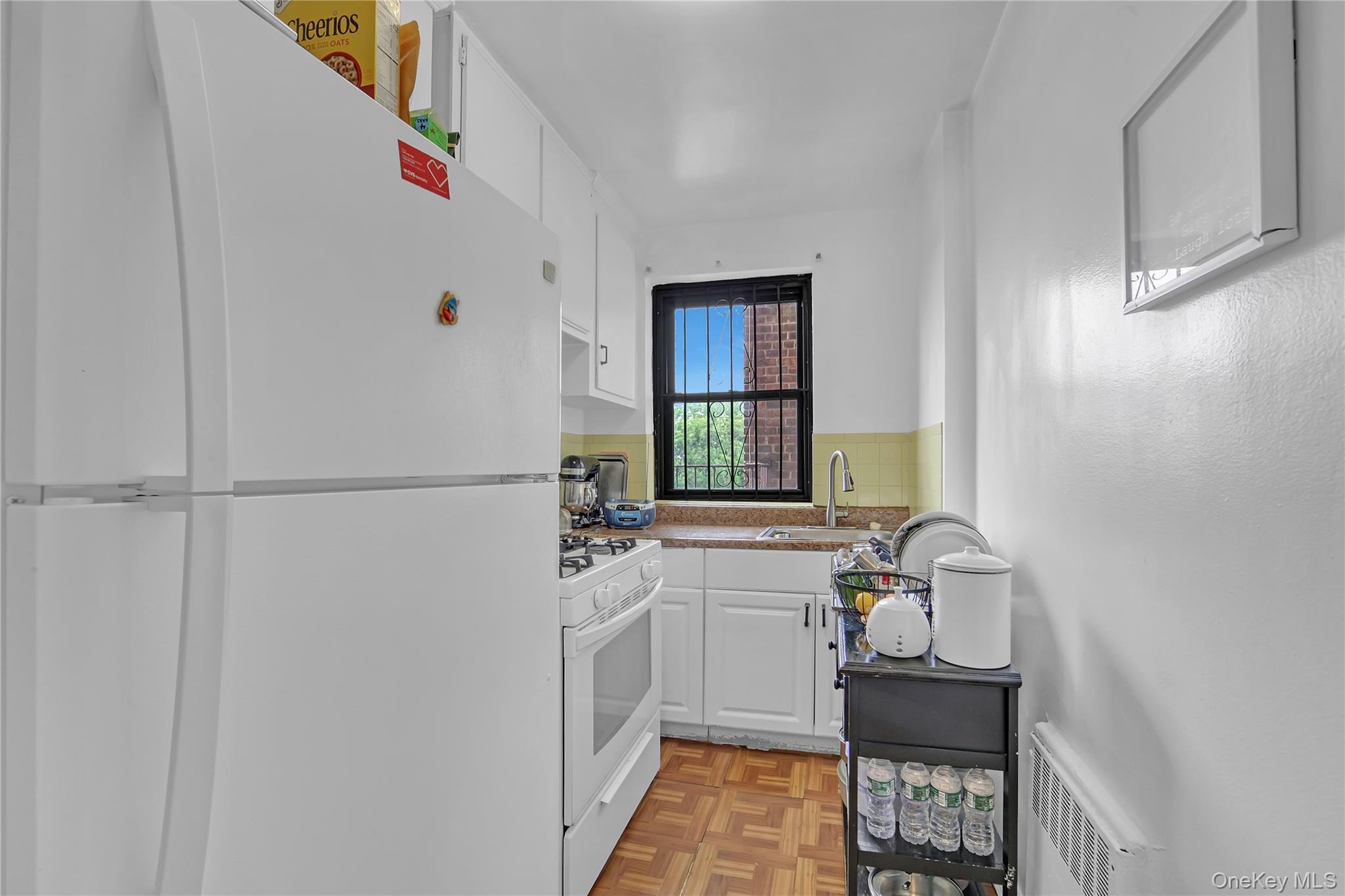 Coop Kings  Brooklyn, NY 11229, MLS-1003074-9