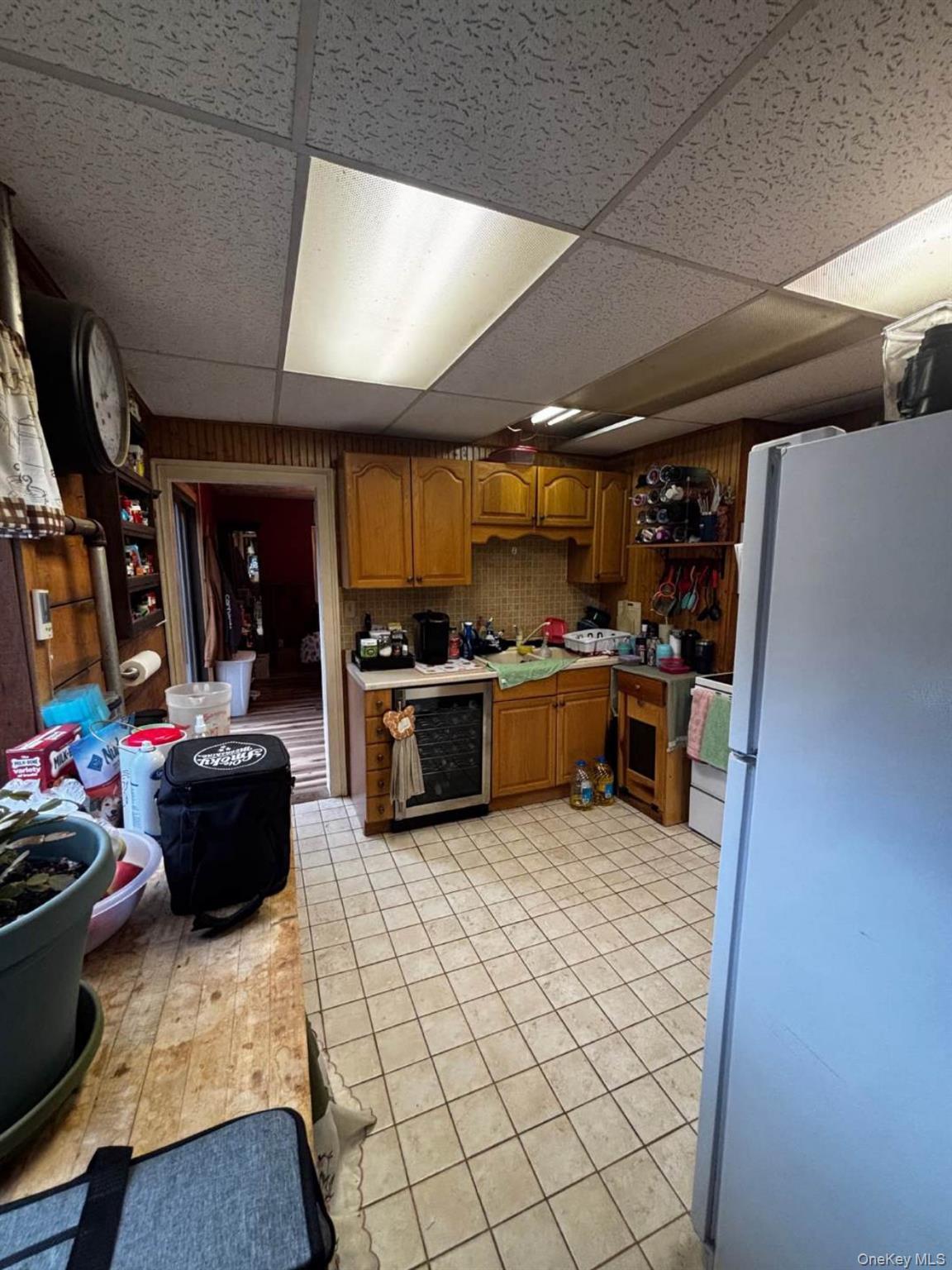Single Family N Lake Drive Greene County, NY 12436, MLS-1003084-14