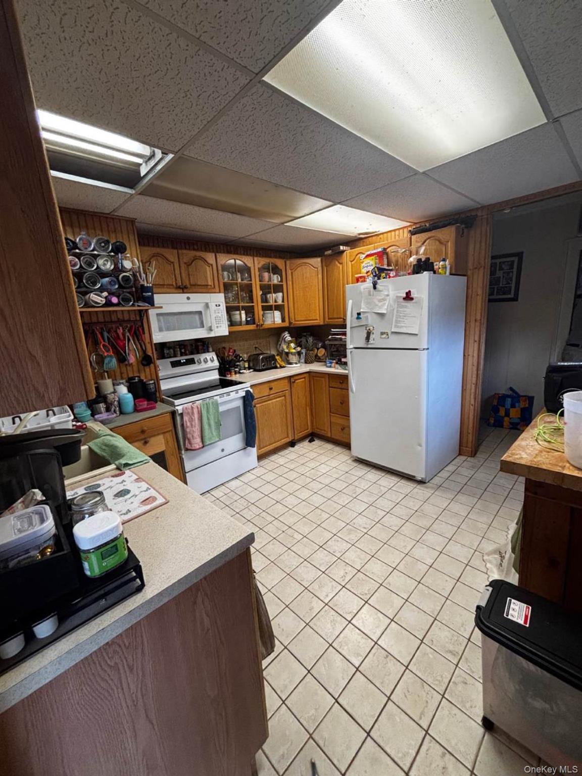 Single Family N Lake Drive  Greene County, NY 12436, MLS-1003084-15