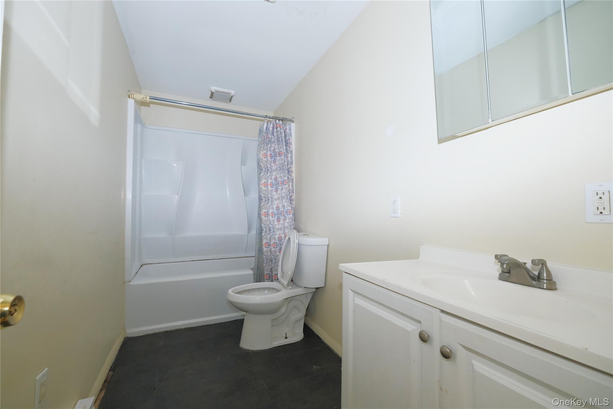Single Family Roosevelt  Dutchess County, NY 12538, MLS-1003110-11