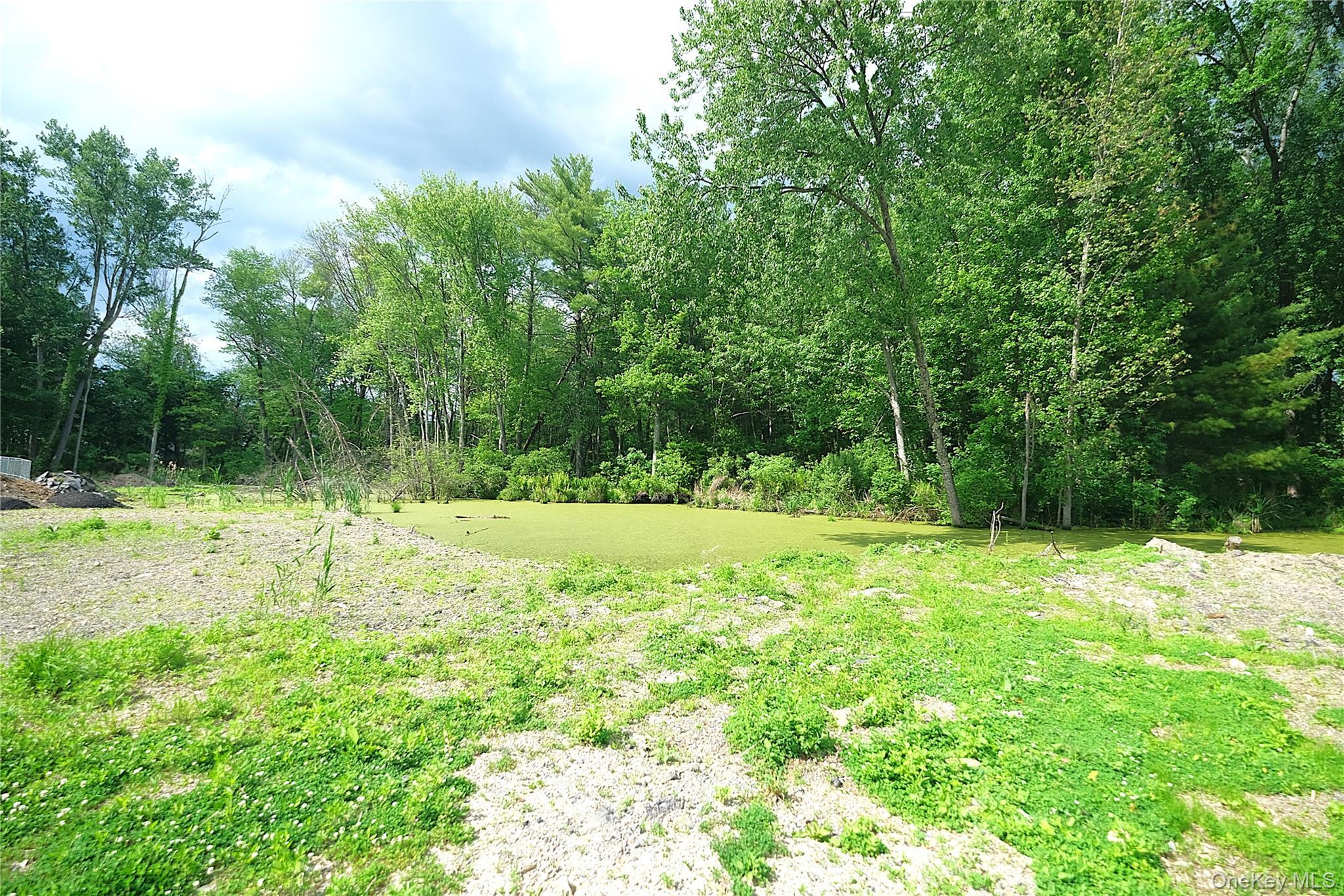 Single Family Roosevelt  Dutchess County, NY 12538, MLS-1003110-19