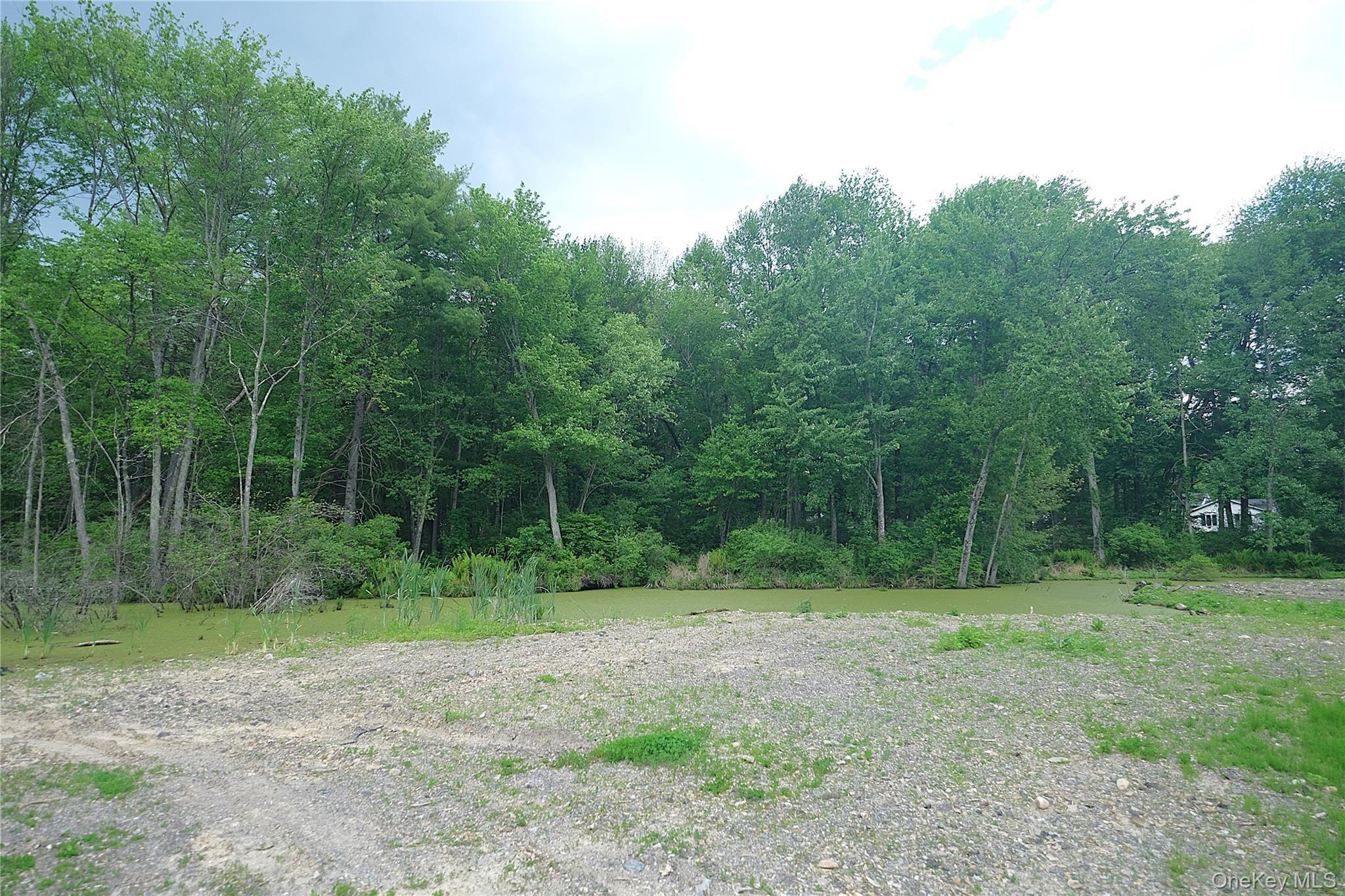 Single Family Roosevelt  Dutchess County, NY 12538, MLS-1003110-20