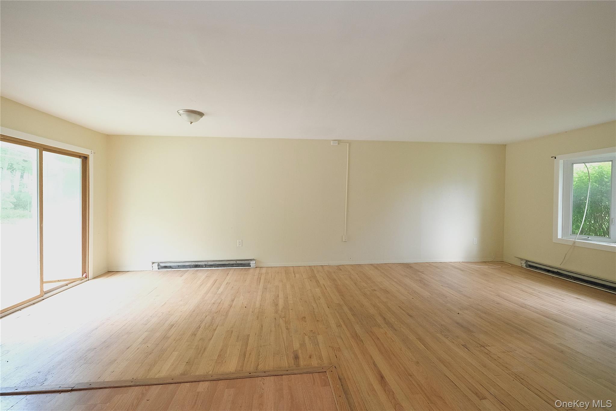 Single Family Roosevelt  Dutchess County, NY 12538, MLS-1003110-4