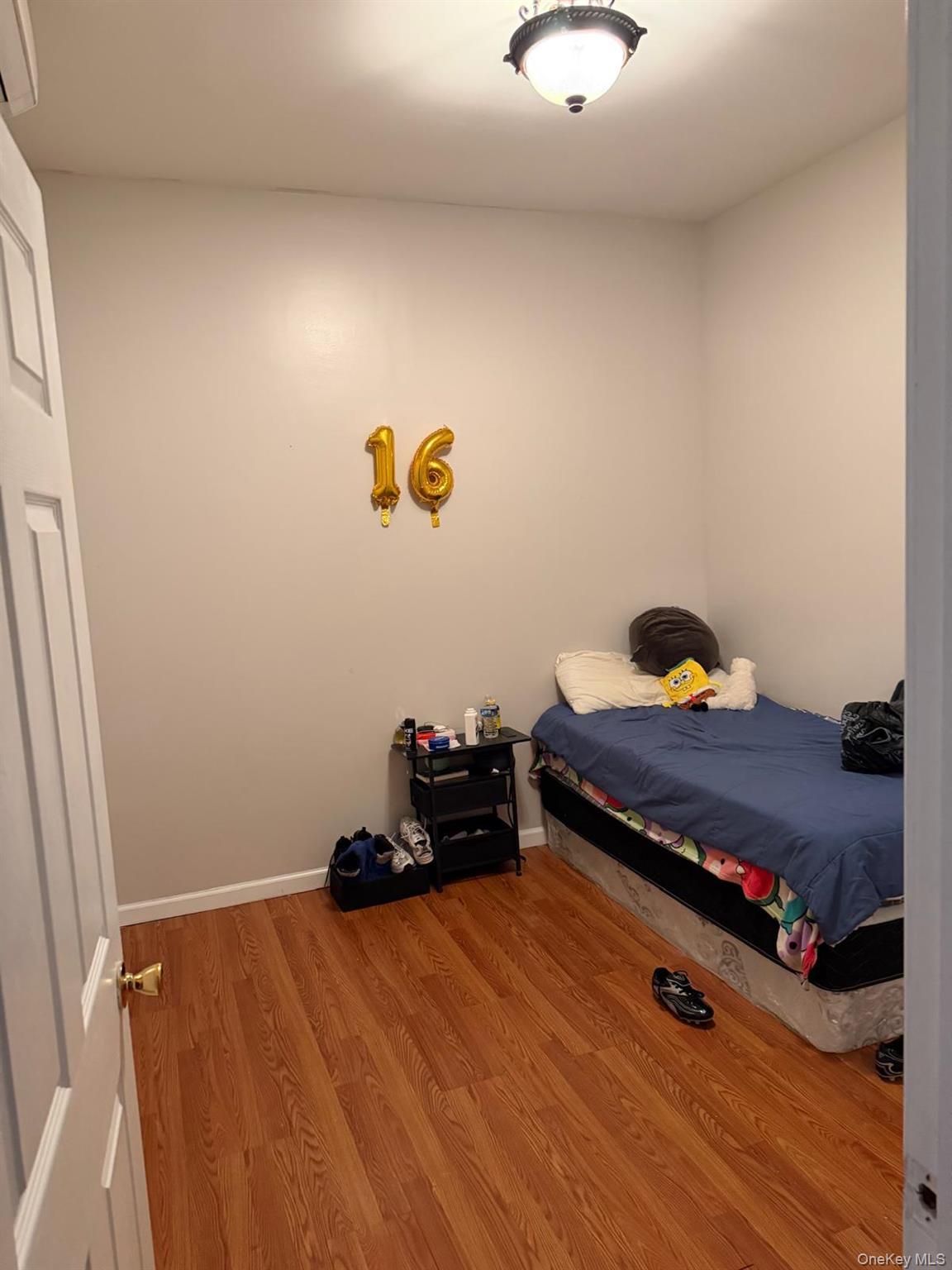 Single Family Cypress Queens, NY 11385, MLS-1003116-9