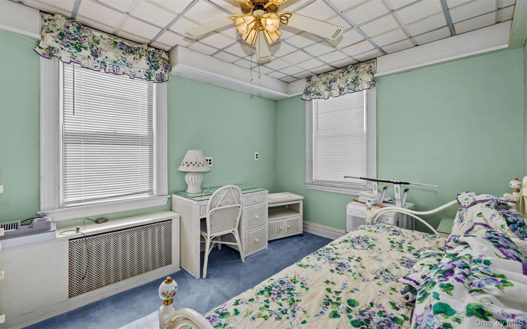 Single Family 48th  Brooklyn, NY 11234, MLS-1003167-11