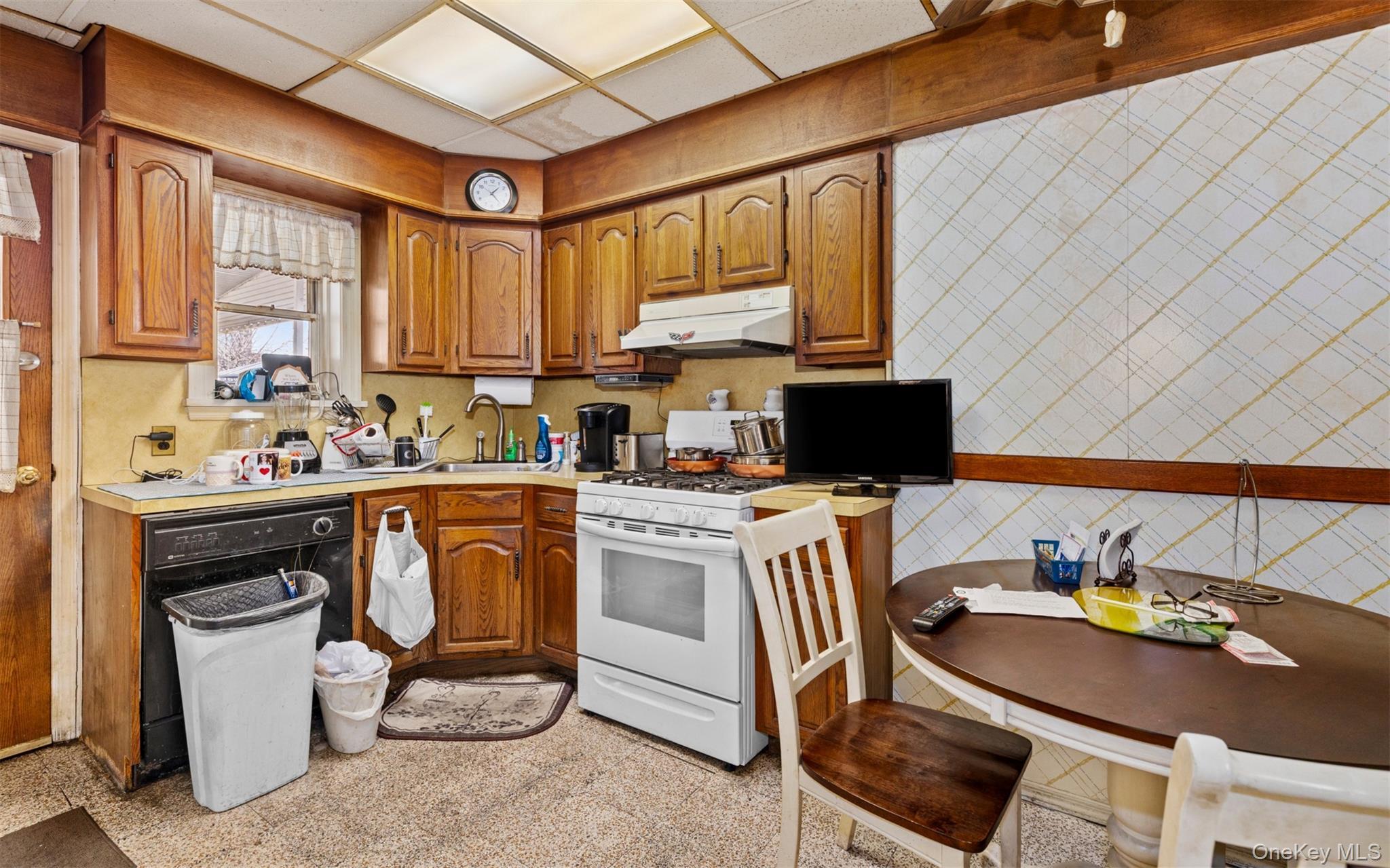 Single Family 48th  Brooklyn, NY 11234, MLS-1003167-6