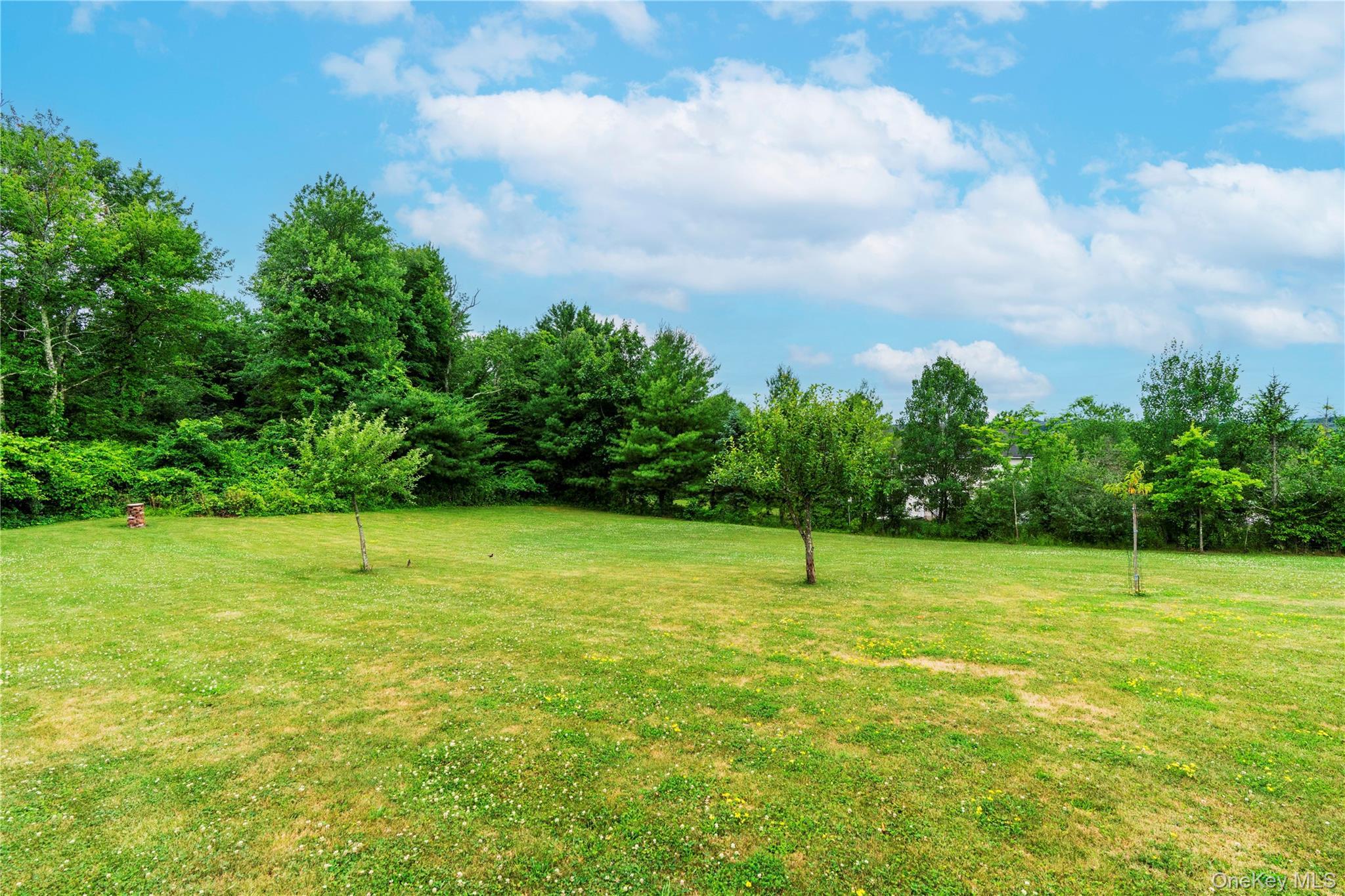Single Family Wildflower Ridge  Dutchess County, NY 12603, MLS-1003289-35
